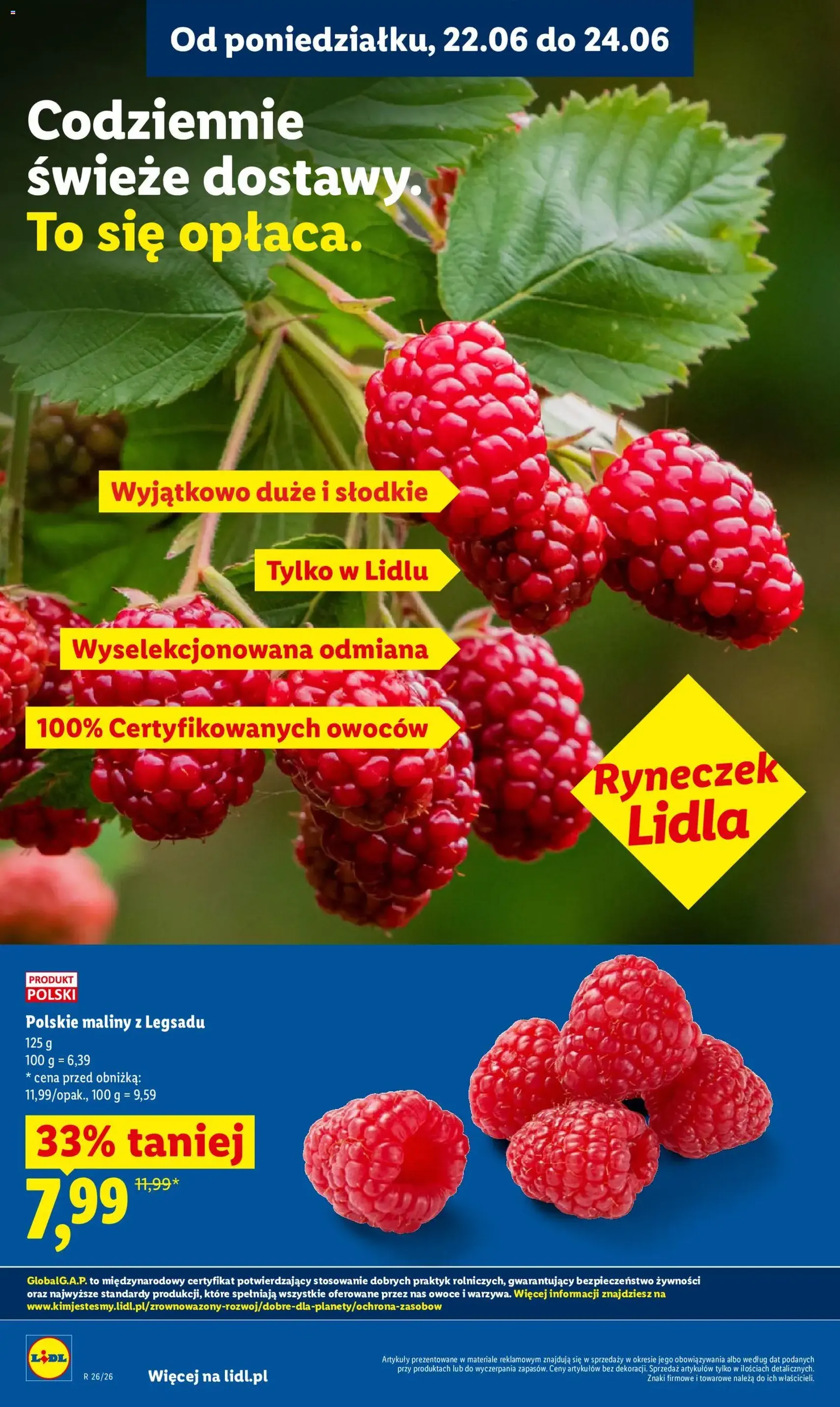 Lidl gazetka - ważny gazetka od 22.06.2026 strona 36 z 99