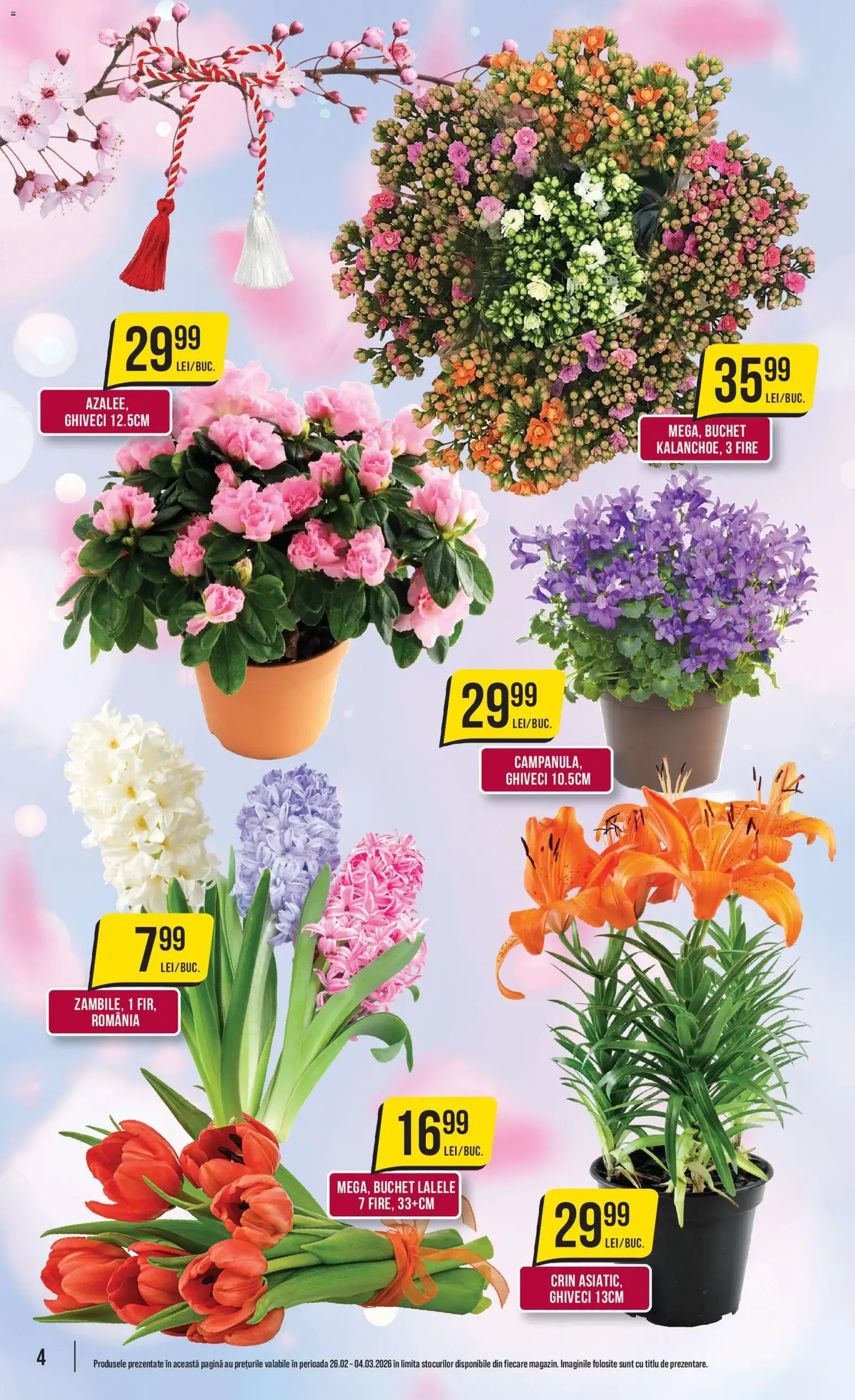 Catalog Mega Image - cataloage valabile începând cu 26.02.2026 pagina 4 din 24