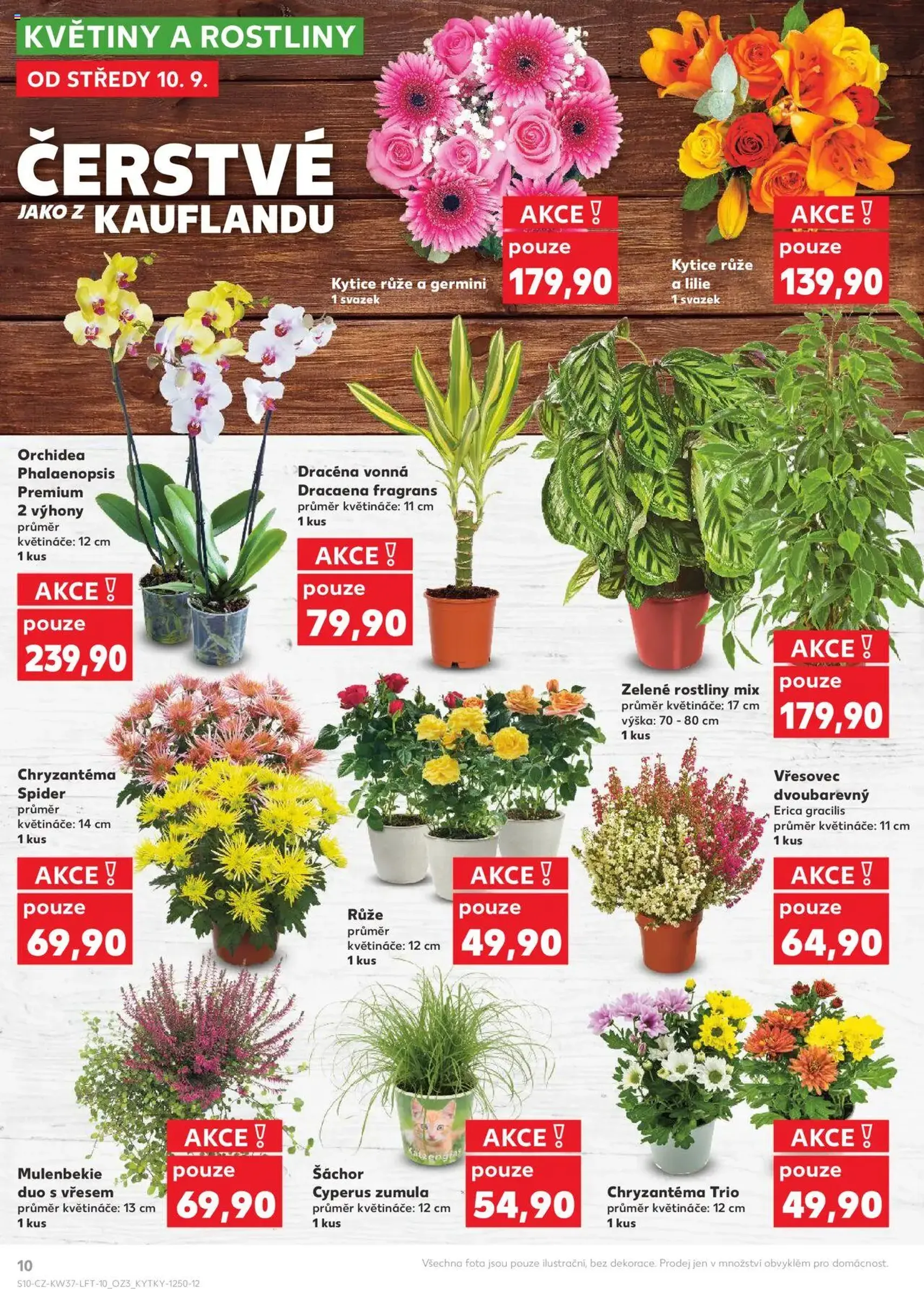 Kaufland leták - platný leták od 10.09.2025 strana 10 z 90 Kaufland leták - platný leták od 10.09.2025 strana 10 z 90