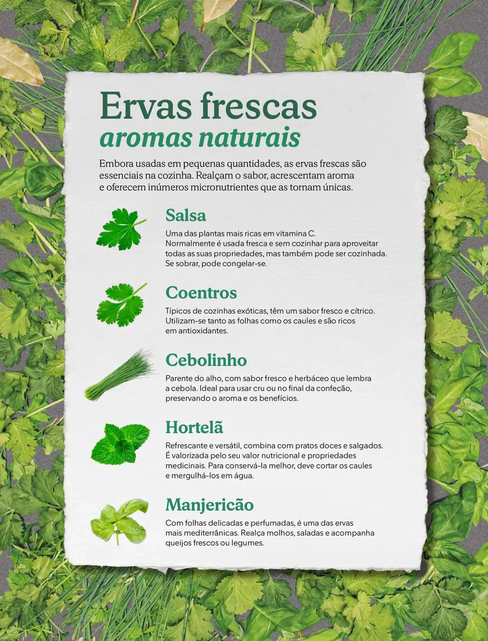 Mercadona folheto - folheto válido a partir de 02/12/2025 página 20 de 72