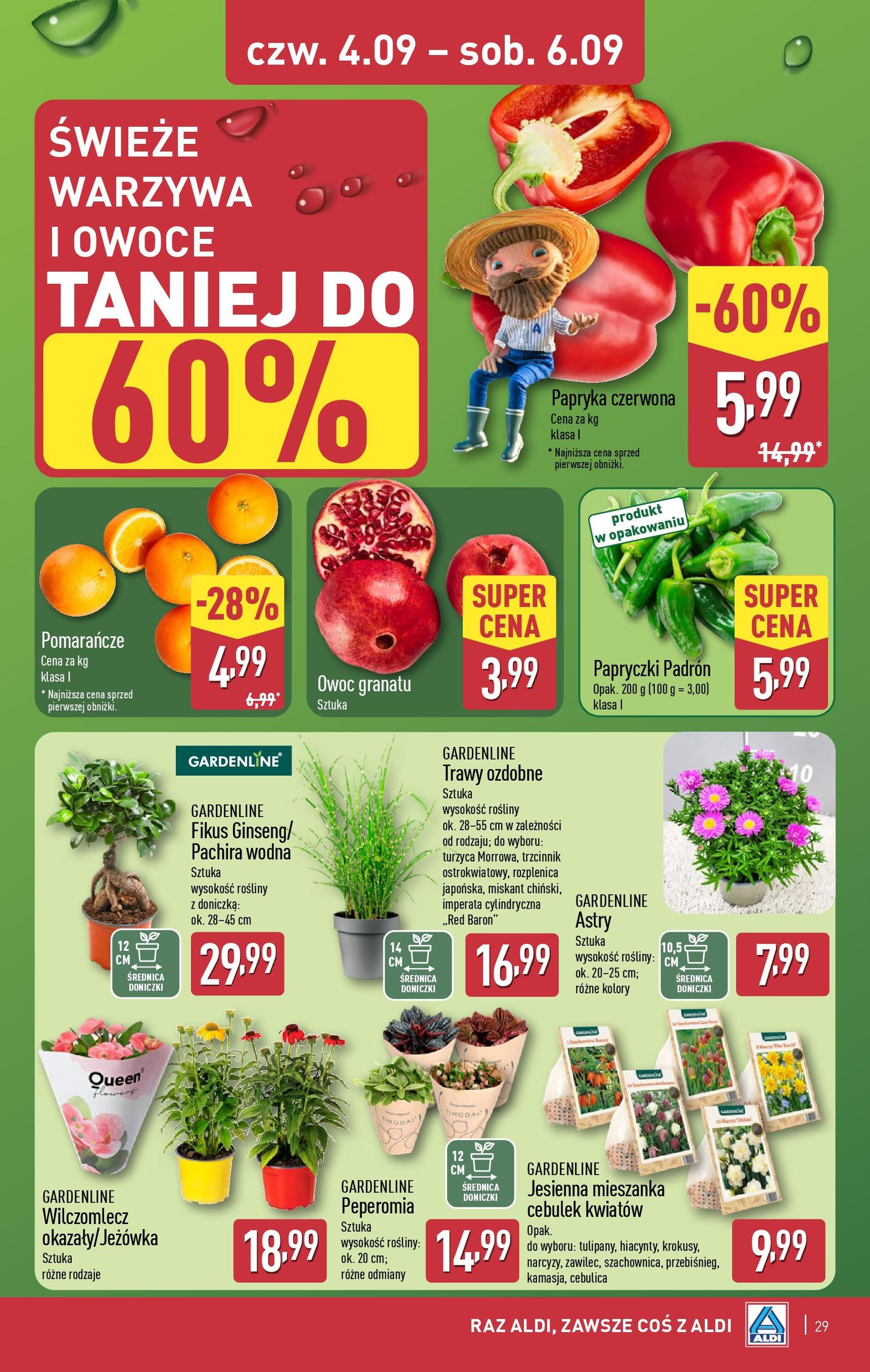 Aldi Gazetka - ważny gazetka od 01.09.2025 strona 29 z 39 Aldi Gazetka - ważny gazetka od 01.09.2025 strona 29 z 39