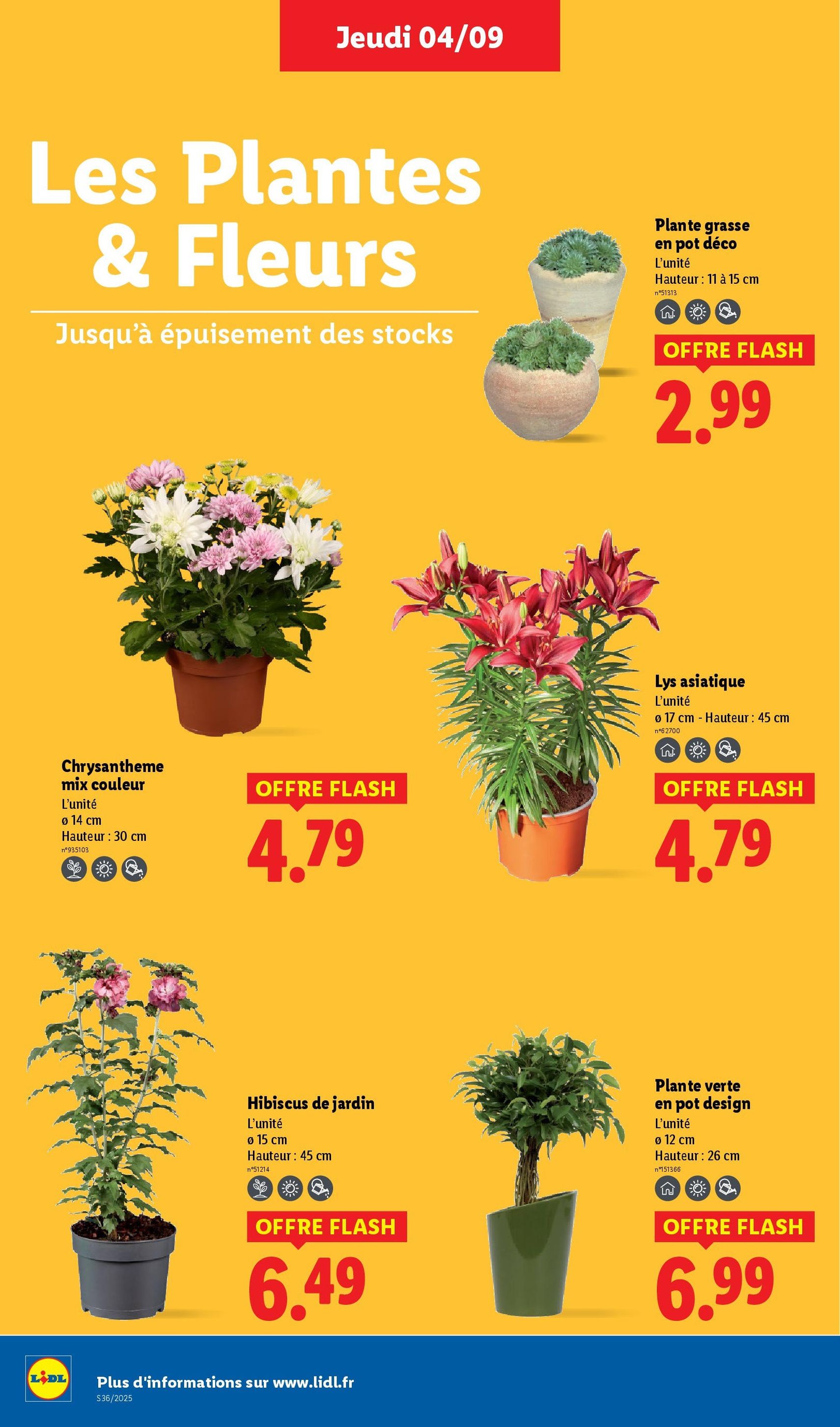 LIDL catalogue semaine 36 - brochure valable à partir du 04/09/2025, page 30 sur 73 LIDL catalogue semaine 36 - brochure valable à partir du 04/09/2025, page 30 sur 73