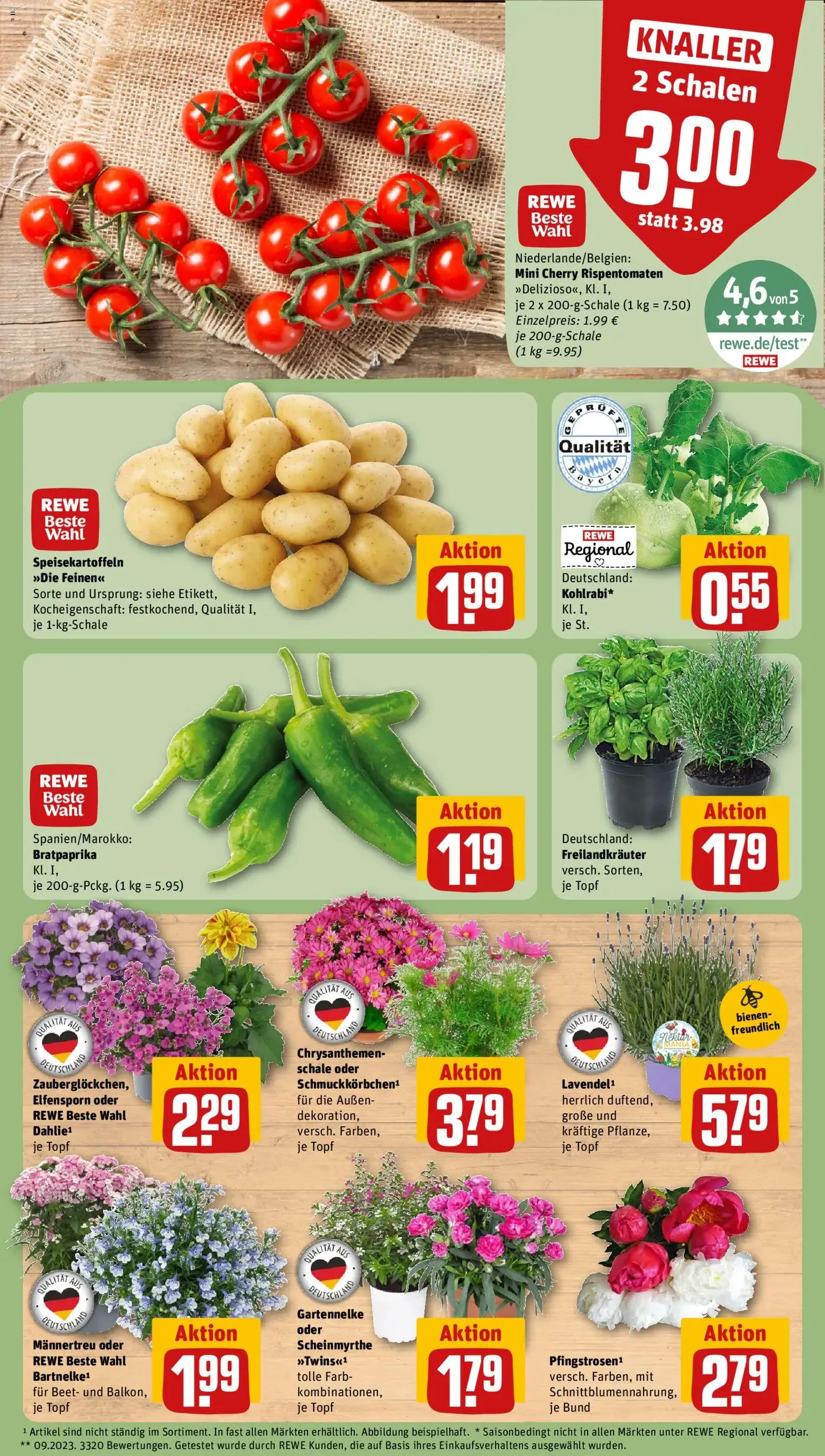 Rewe DE - DE Folder - geldige folder vanaf 01-06-2026 pagina 5 van 30