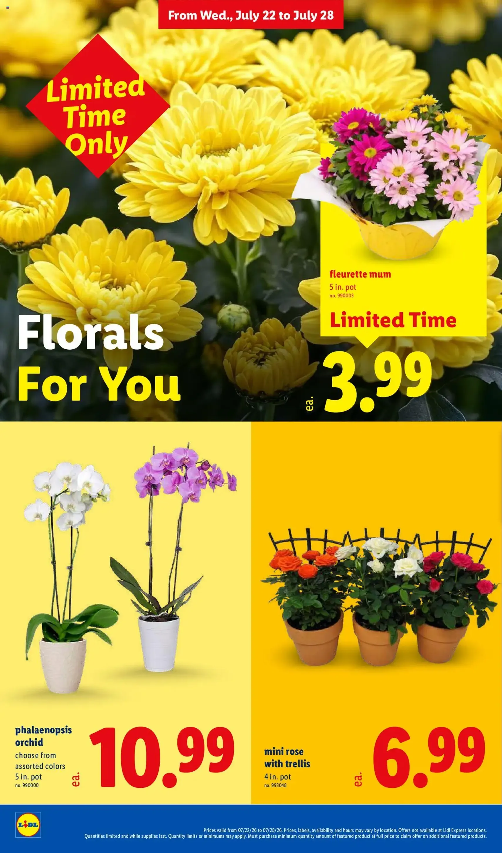 Lidl Weekly Ad - valid flyer from 07/22/2026, page 36 of 48