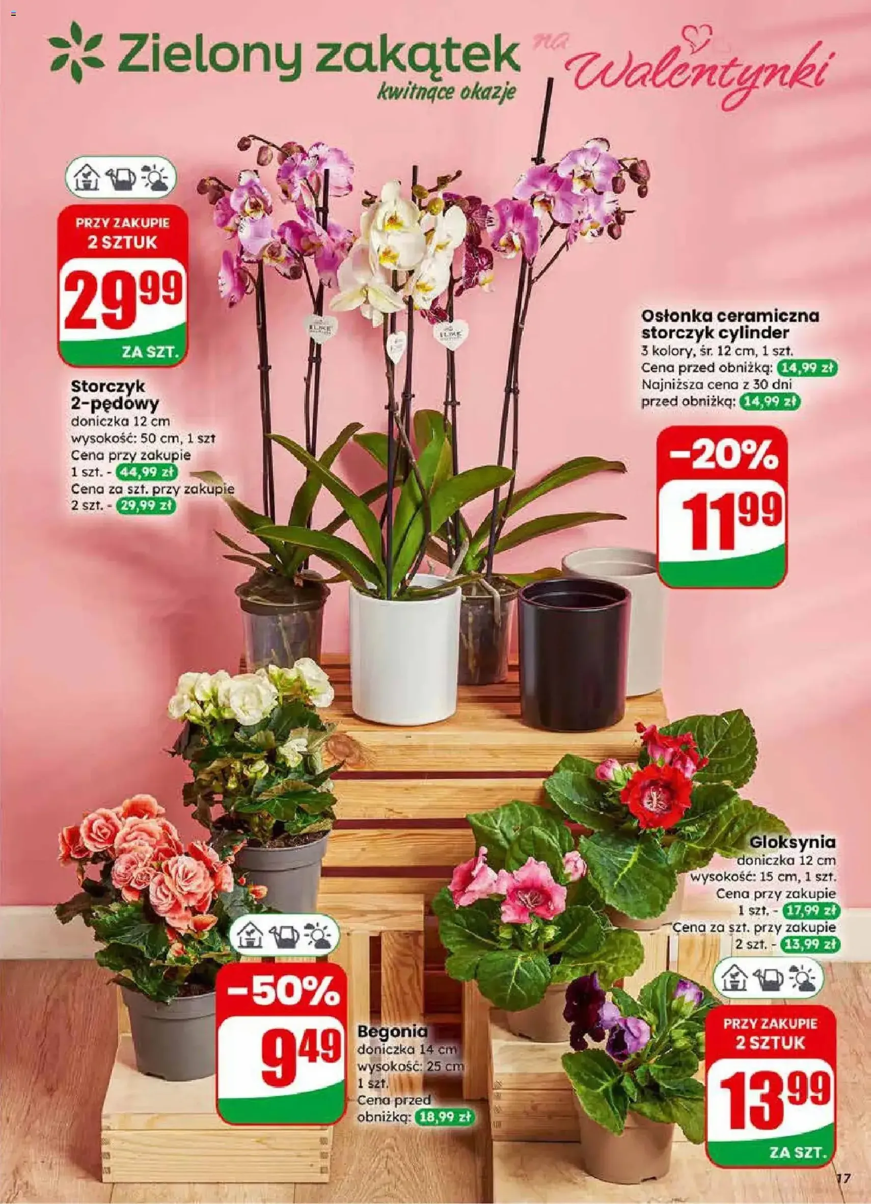 Dino Gazetka - ważny gazetka od 11.02.2026 strona 17 z 78