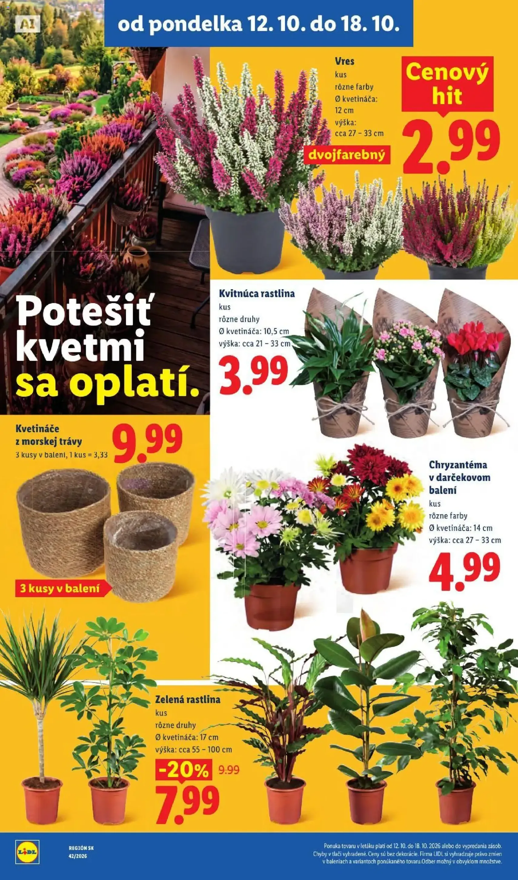 Lidl leták - platný leták od 12.10.2026 strana 69 z 126