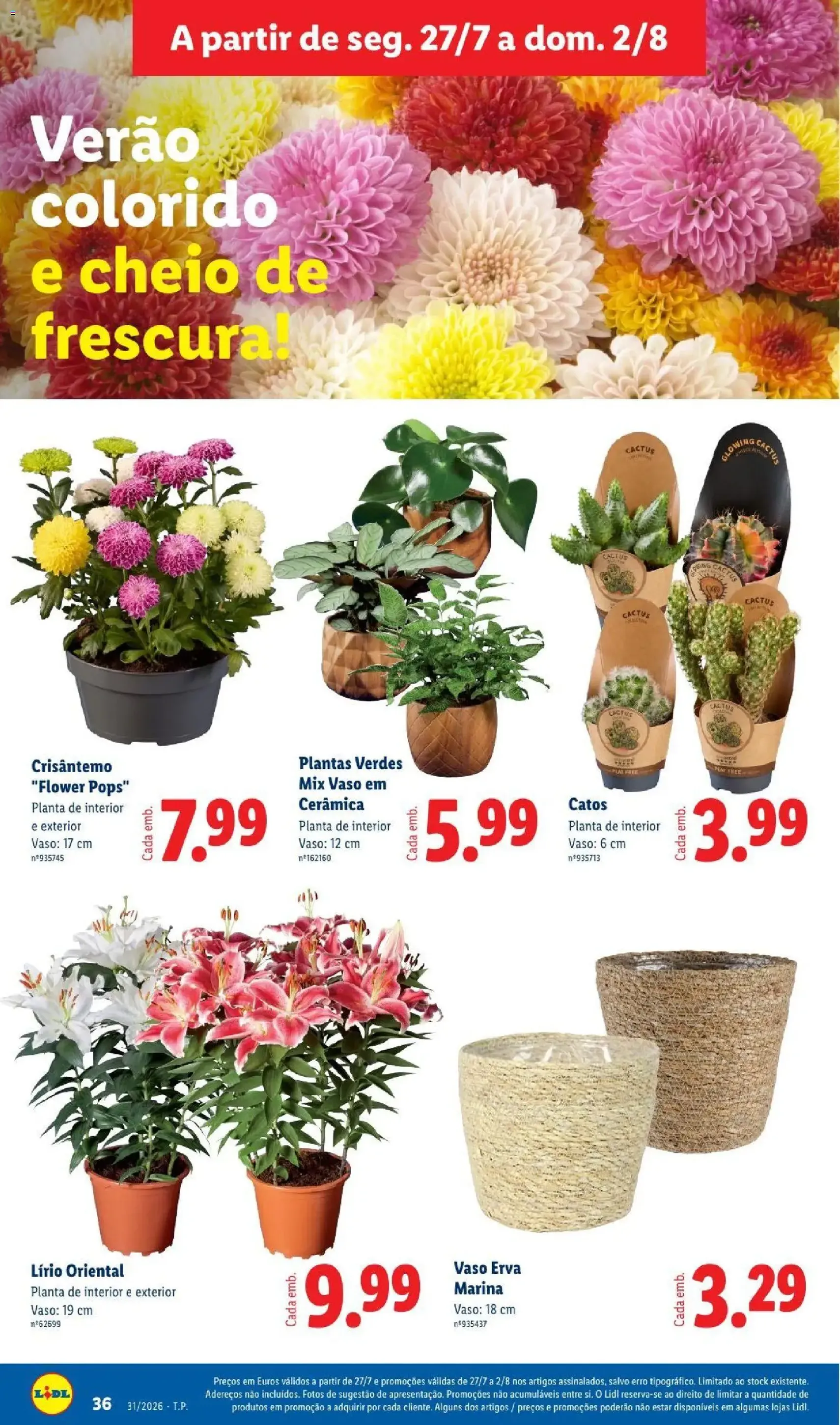 Lidl folheto - folheto válido a partir de 27/07/2026 página 36 de 46