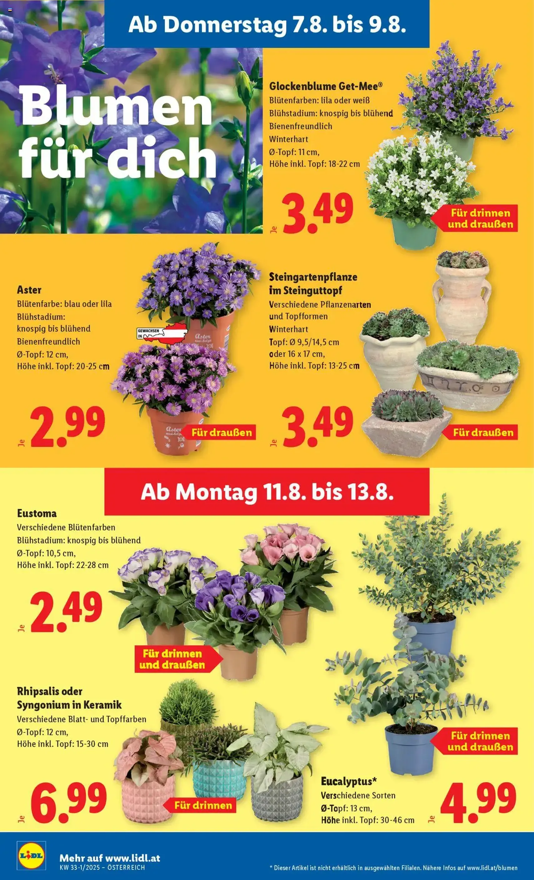 Lidl Flugblatt - Gültiger Prospekt ab 07.08.2025, Seite 26 von insgesamt 46 Lidl Flugblatt - Gültiger Prospekt ab 07.08.2025, Seite 26 von insgesamt 46