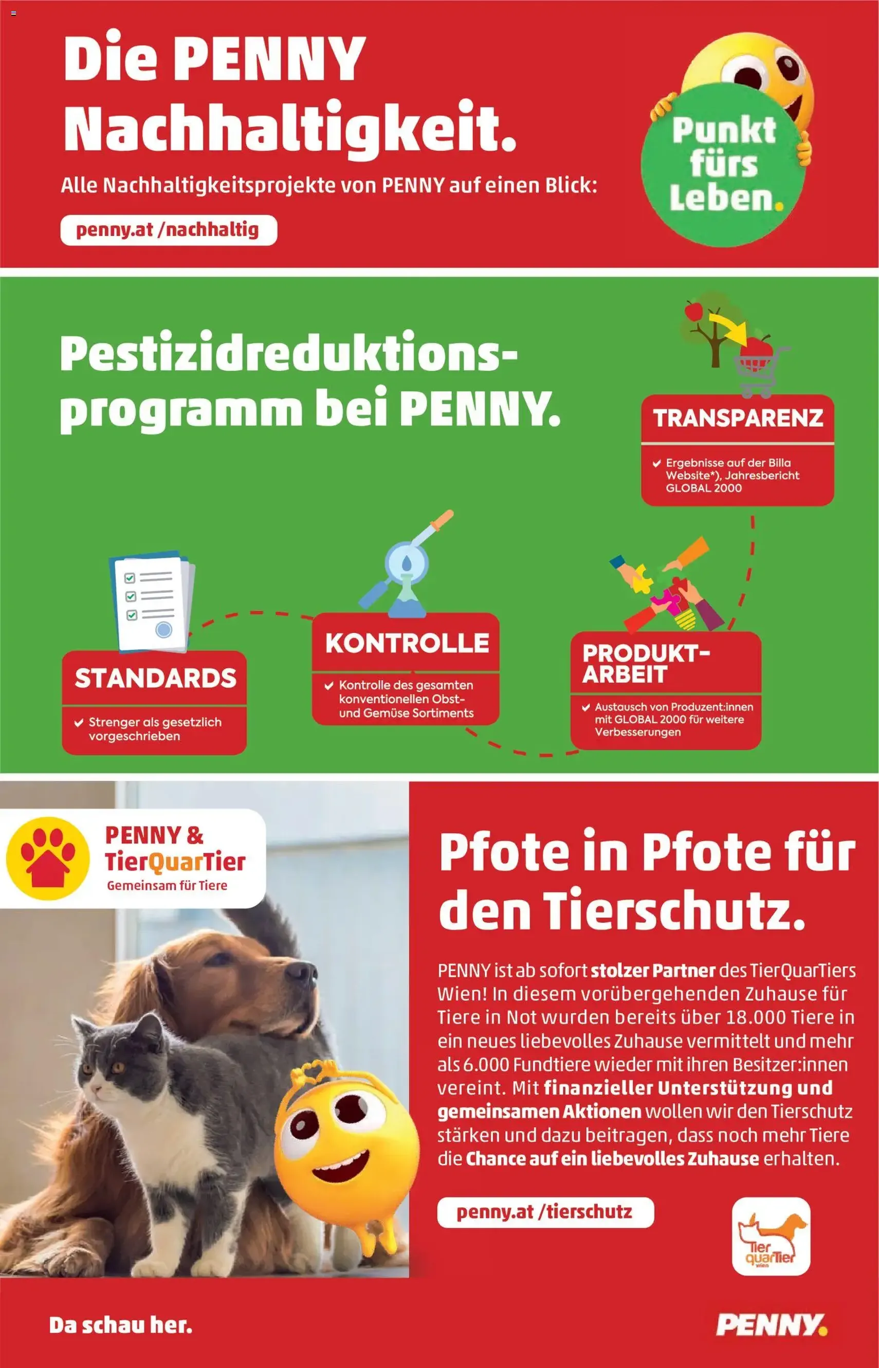 Penny Markt Flugblatt - Gültiger Prospekt ab 29.10.2026, Seite 36 von insgesamt 36