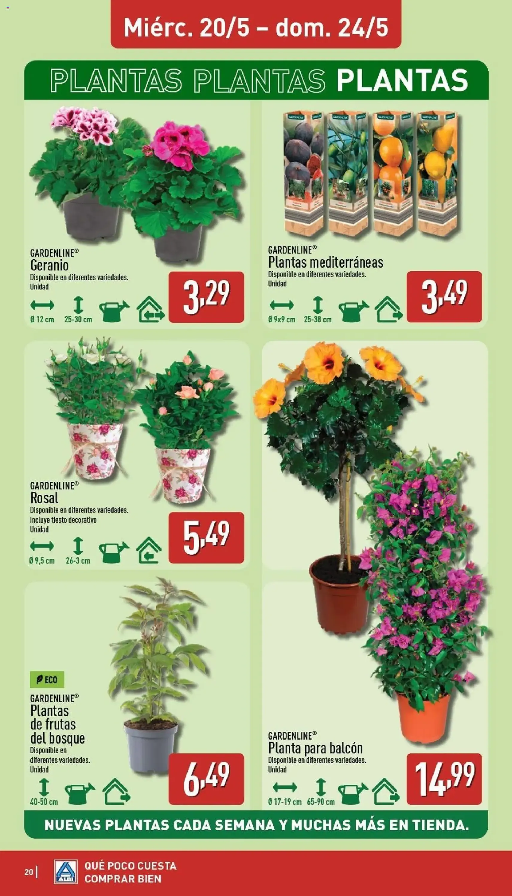Aldi folleto Península - folleto válido desde 18/05/2026 página 20 de 30