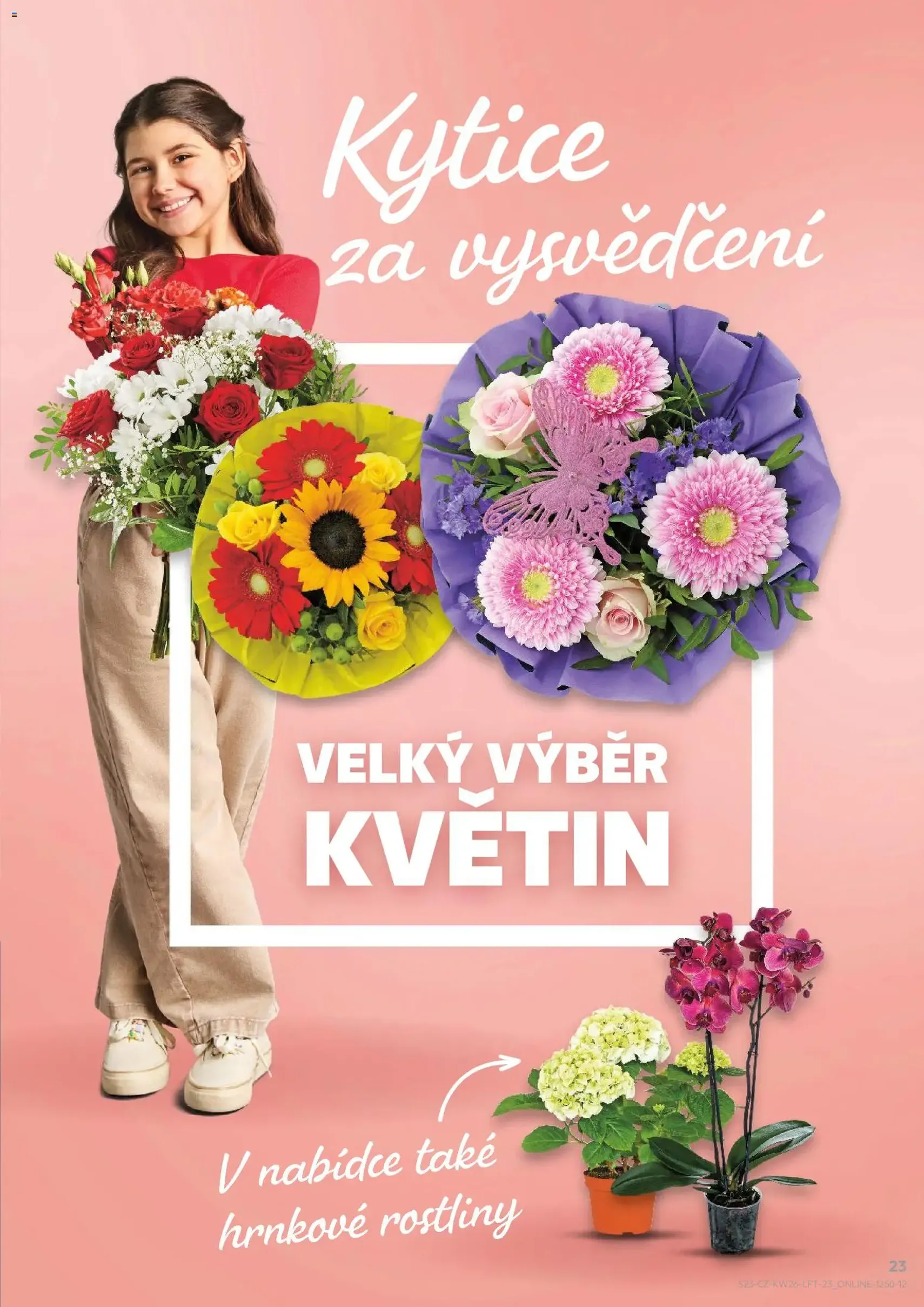 Kaufland leták - platný leták od 24.06.2026 strana 23 z 54