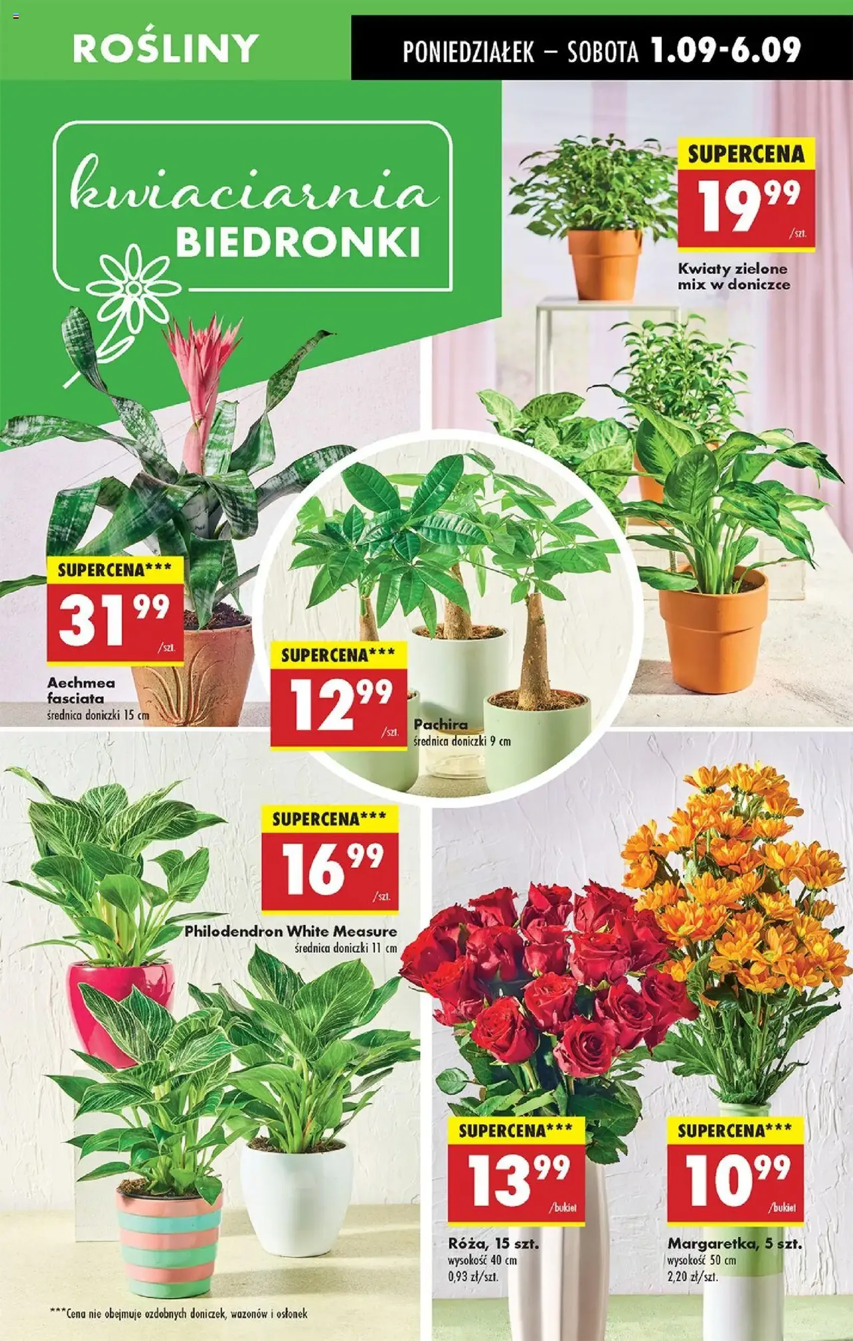 Biedronka gazetka - ważny gazetka od 01.09.2025 strona 17 z 76
