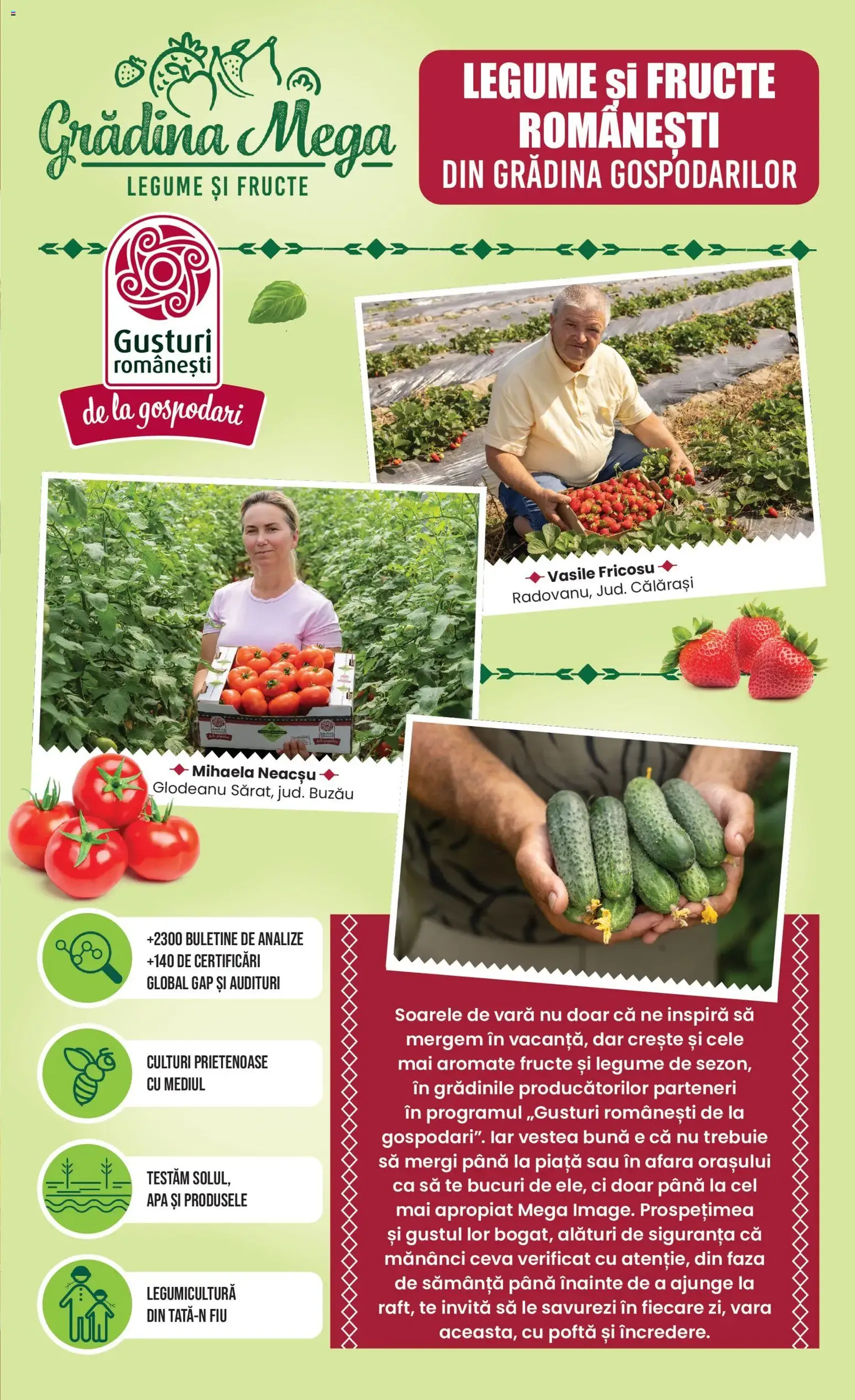 Mega Image Catalog - cataloage valabile începând cu 25.06.2026 pagina 11 din 24