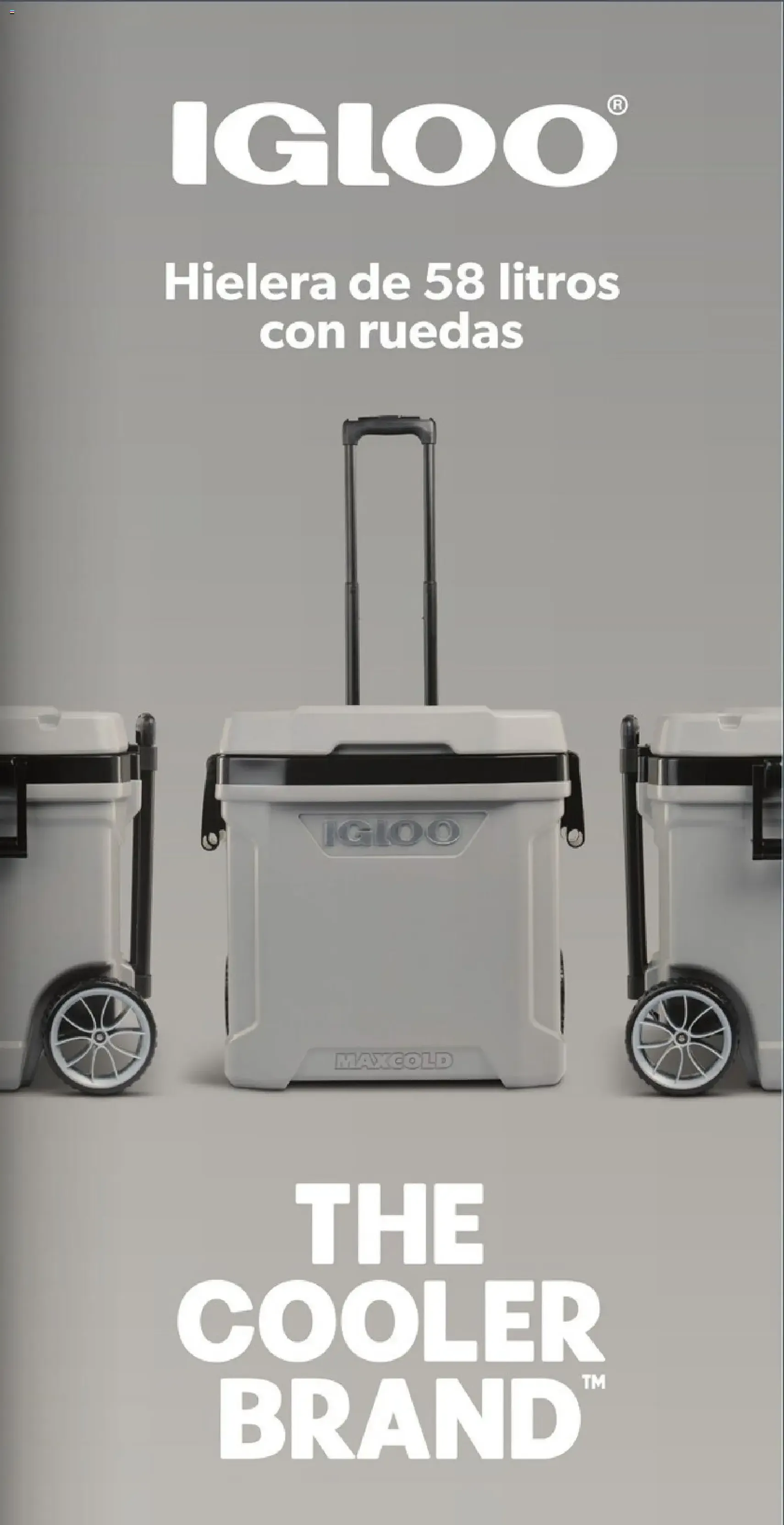 Costco catálogo - folleto válido desde 22/12/2025 página 17 de 42