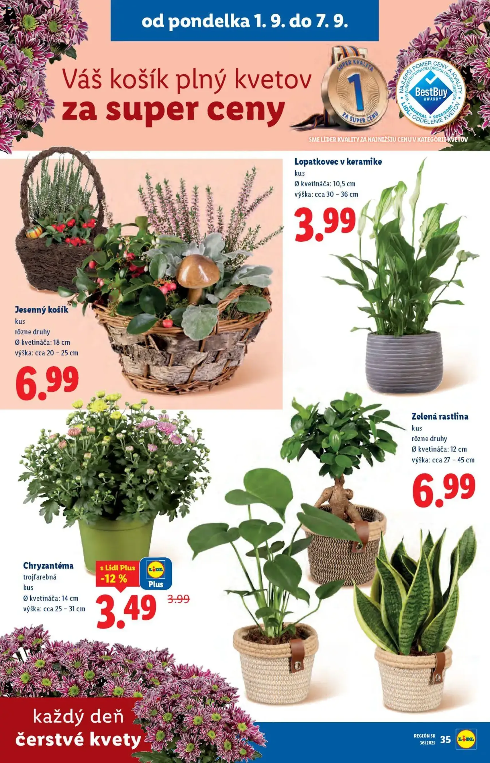 Lidl leták - platný leták od 01.09.2025 strana 45 z 103 Lidl leták - platný leták od 01.09.2025 strana 45 z 103