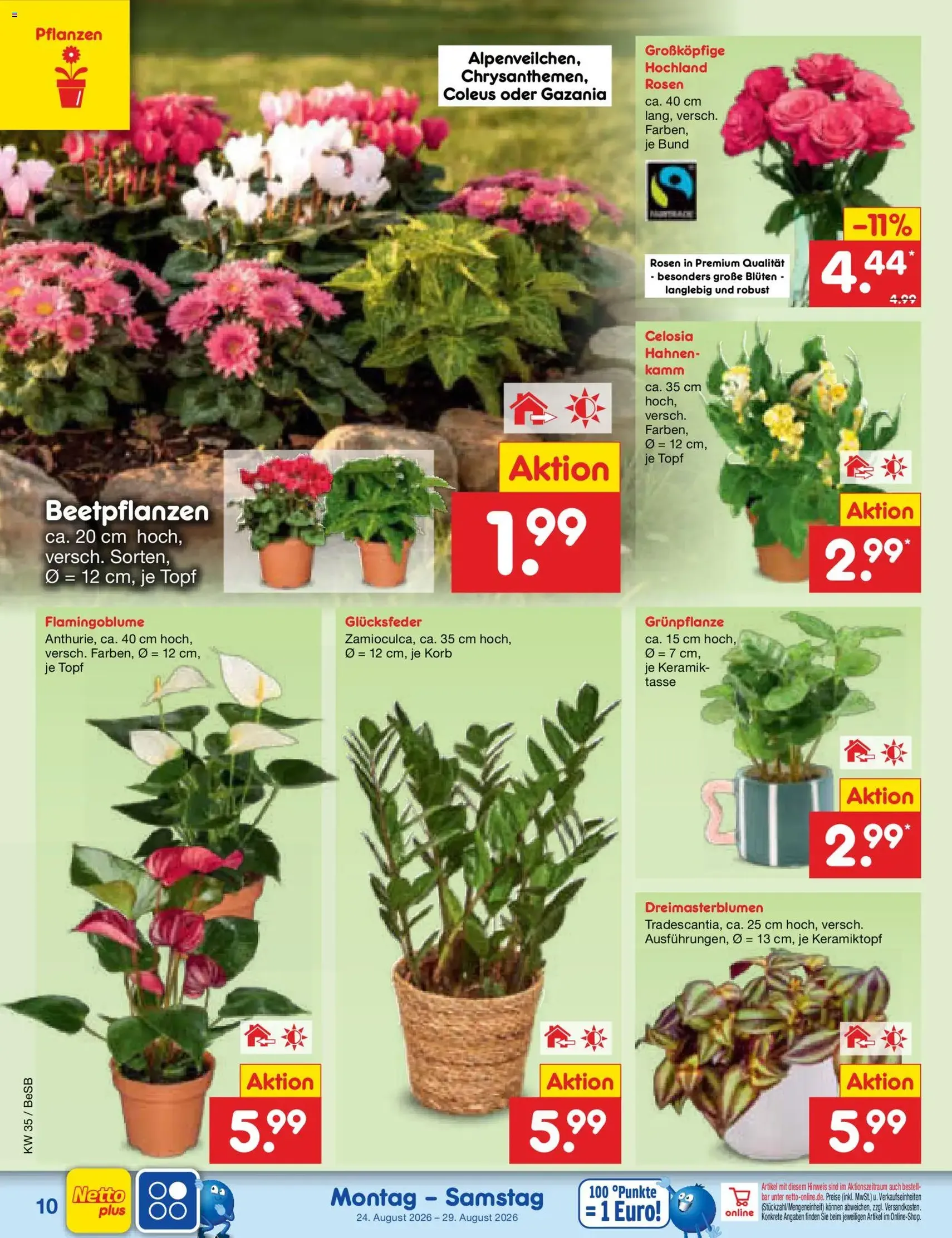 Netto Marken-Discount Prospekt - Gültiger Prospekt ab 24.08.2026, Seite 14 von insgesamt 68
