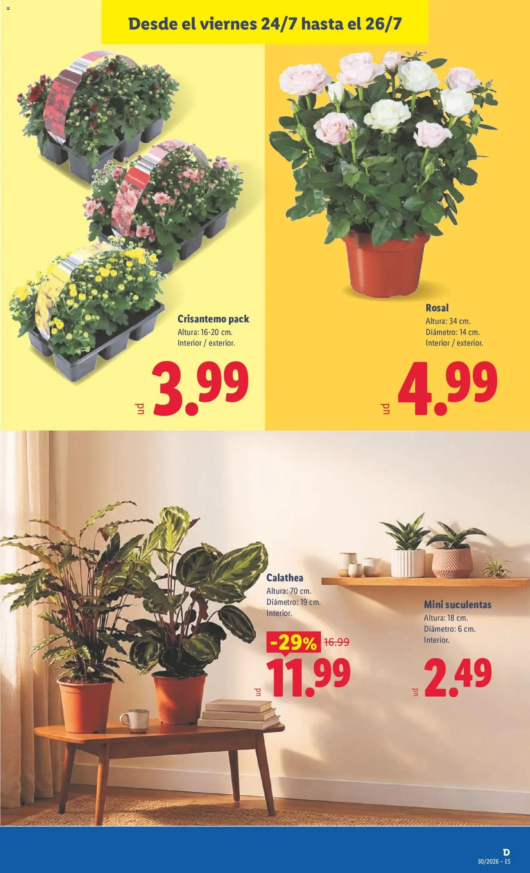 Lidl folleto - folleto válido desde 20/07/2026 página 49 de 51