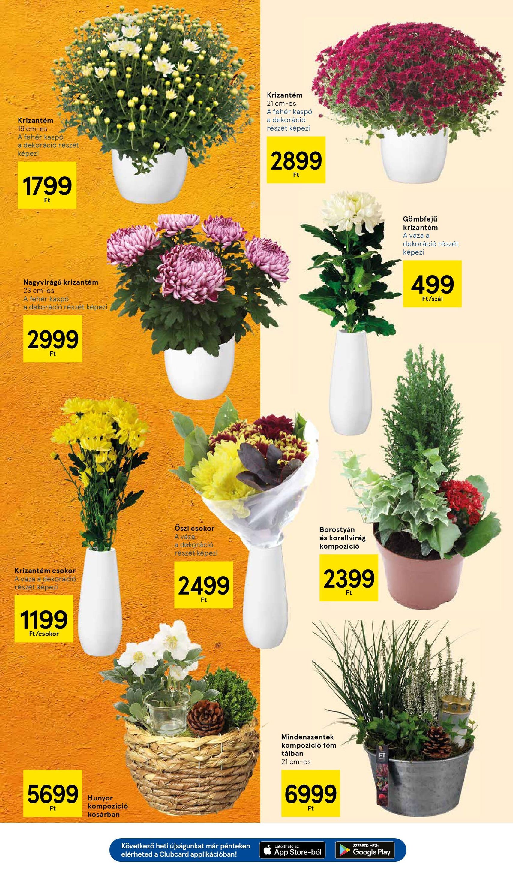 Tesco Hipermarket - Akciós újság - 2025.10.30. érvényes szórólap 11 oldal 32 oldalból