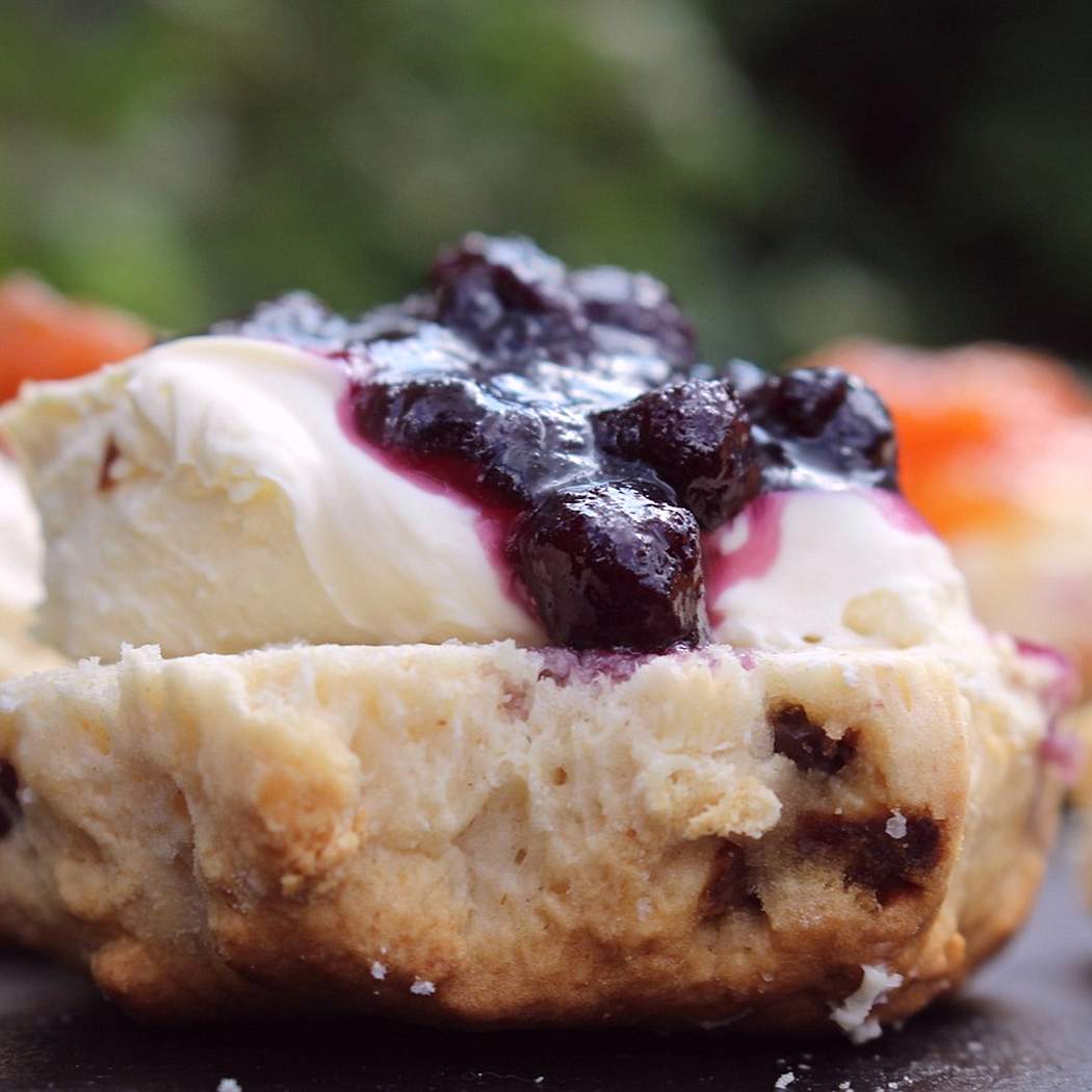 Panettone natalizio