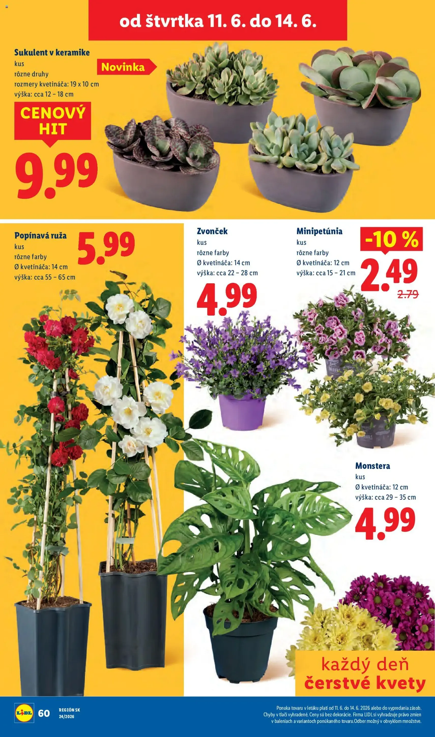 Lidl leták - platný leták od 08.06.2026 strana 80 z 99