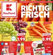 Kaufland Prospekt - Prospekt Vorschau gültig ab 11.09.2025