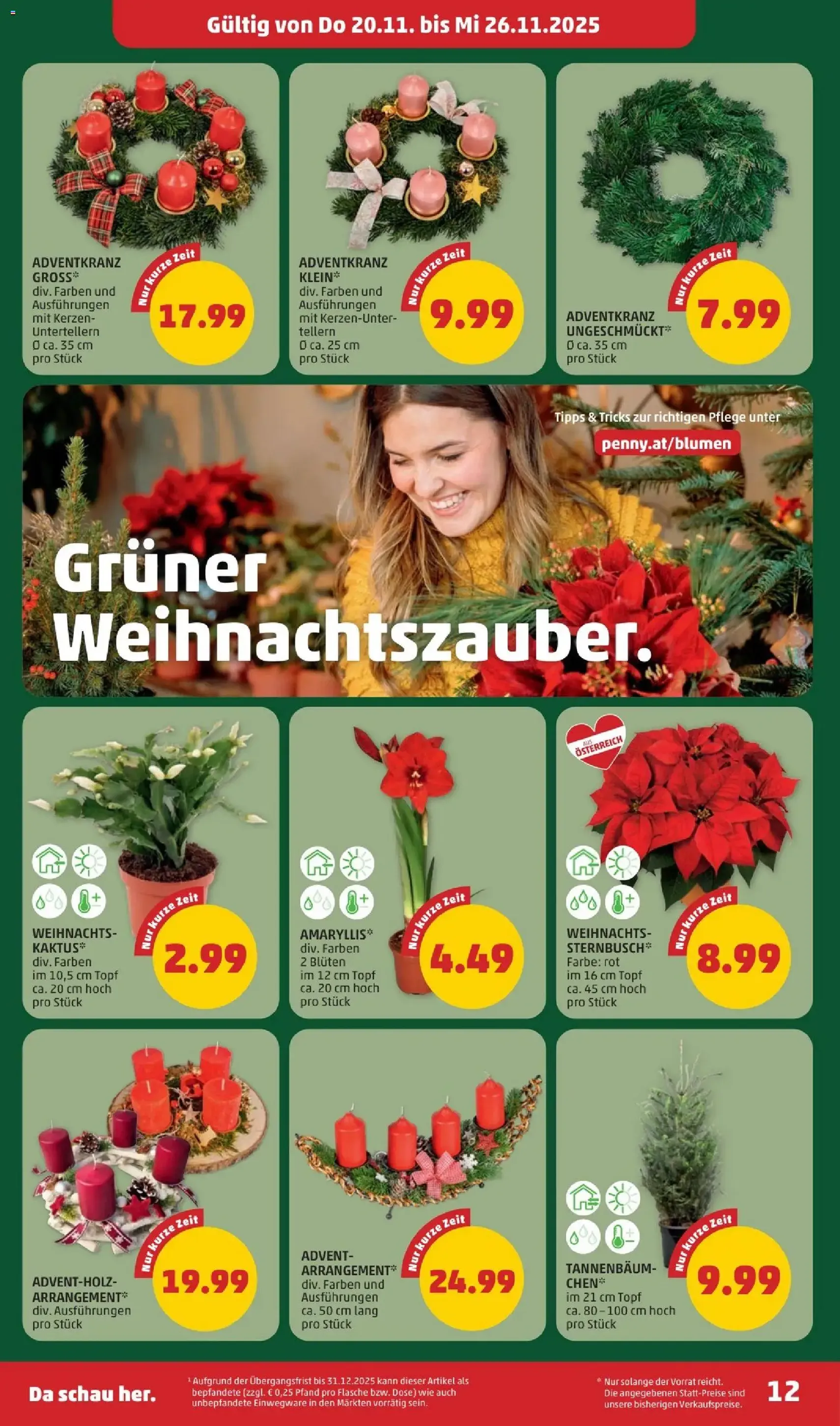 Penny Markt Flugblatt - Gültiger Prospekt ab 20.11.2025, Seite 12 von insgesamt 32