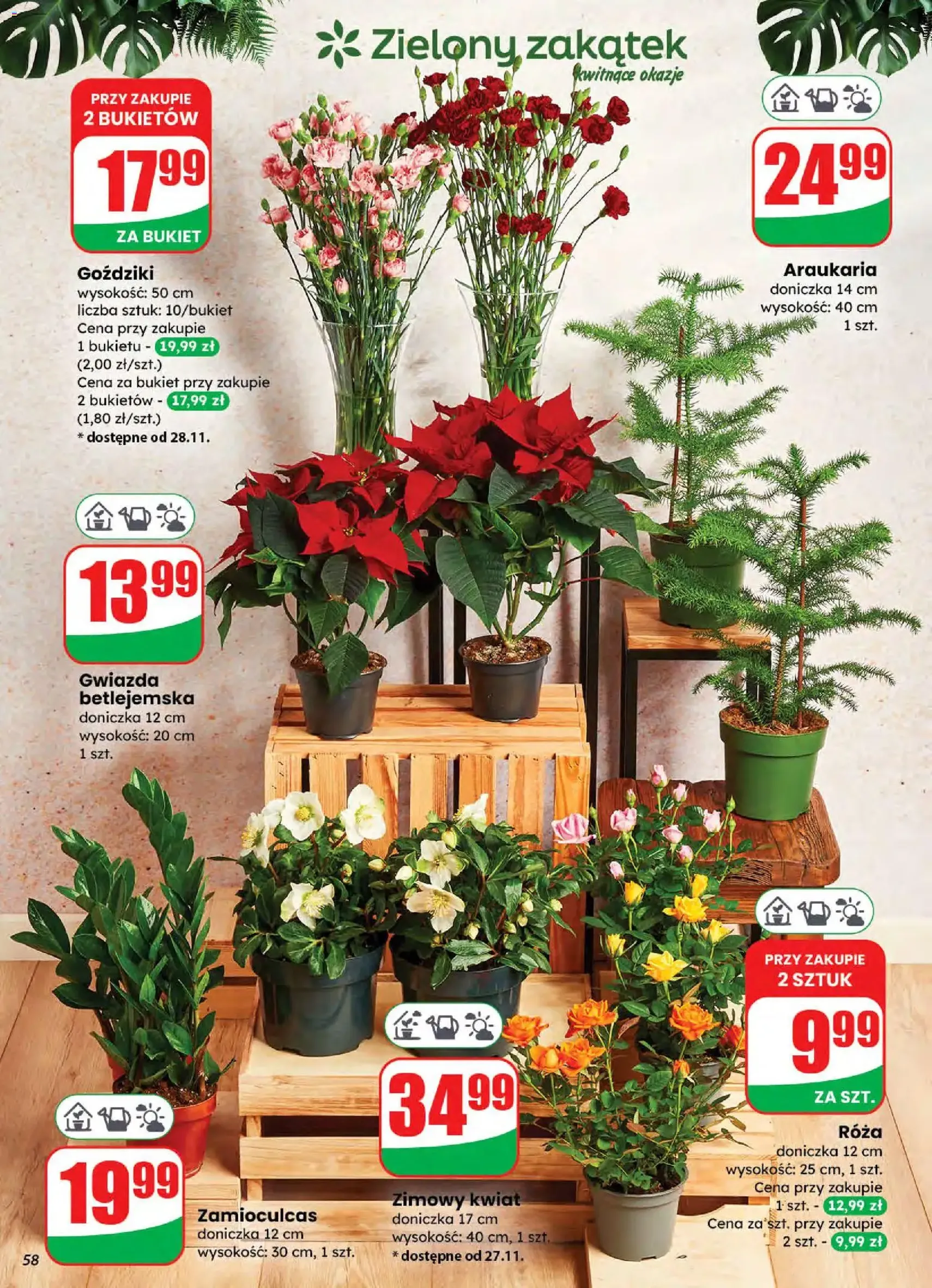 Dino Gazetka - ważny gazetka od 26.11.2025 strona 58 z 80