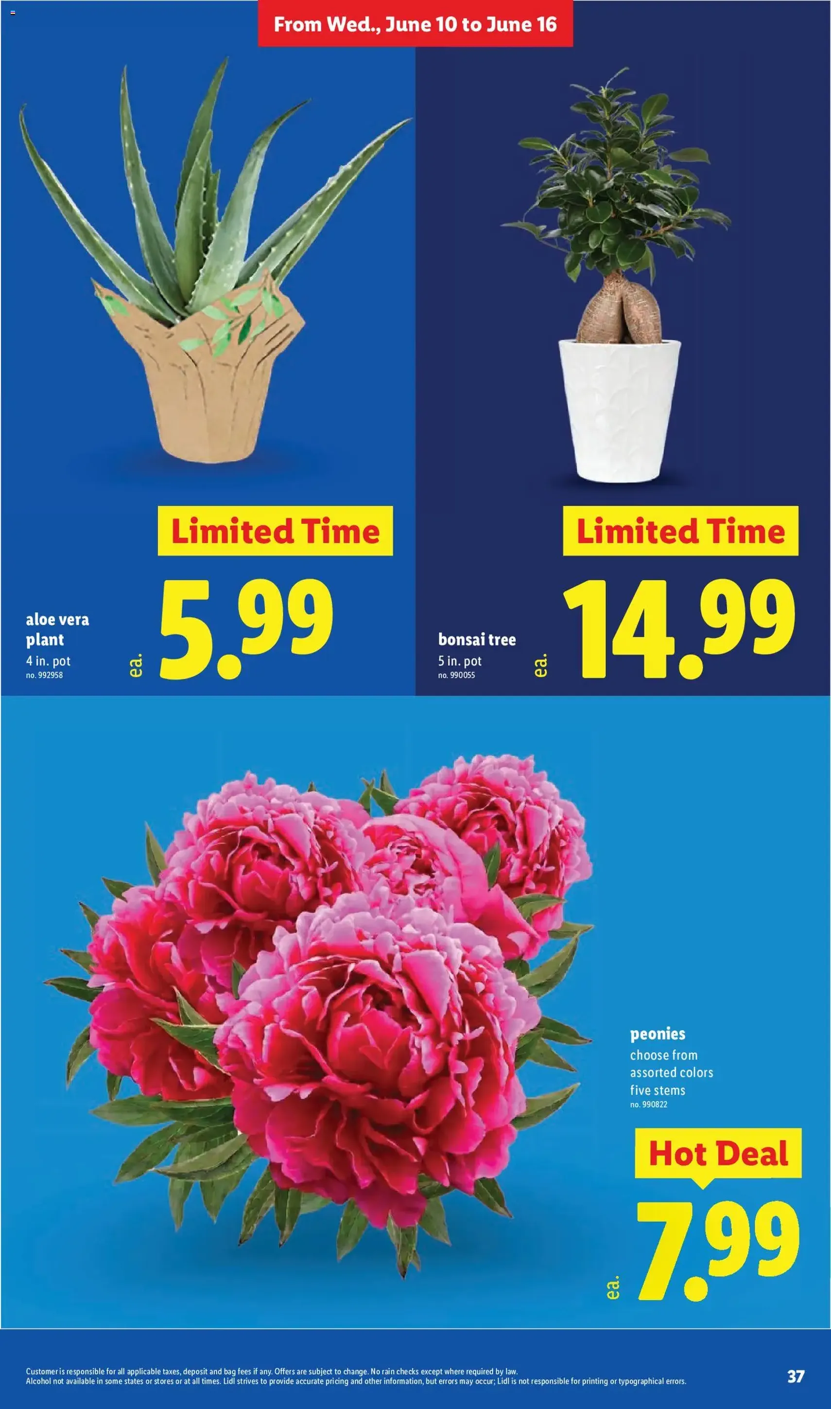 Lidl Weekly Ad - valid flyer from 06/10/2026, page 37 of 48