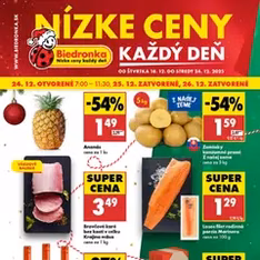 Biedronka leták - náhľad letáku platný od 18.12.2025
