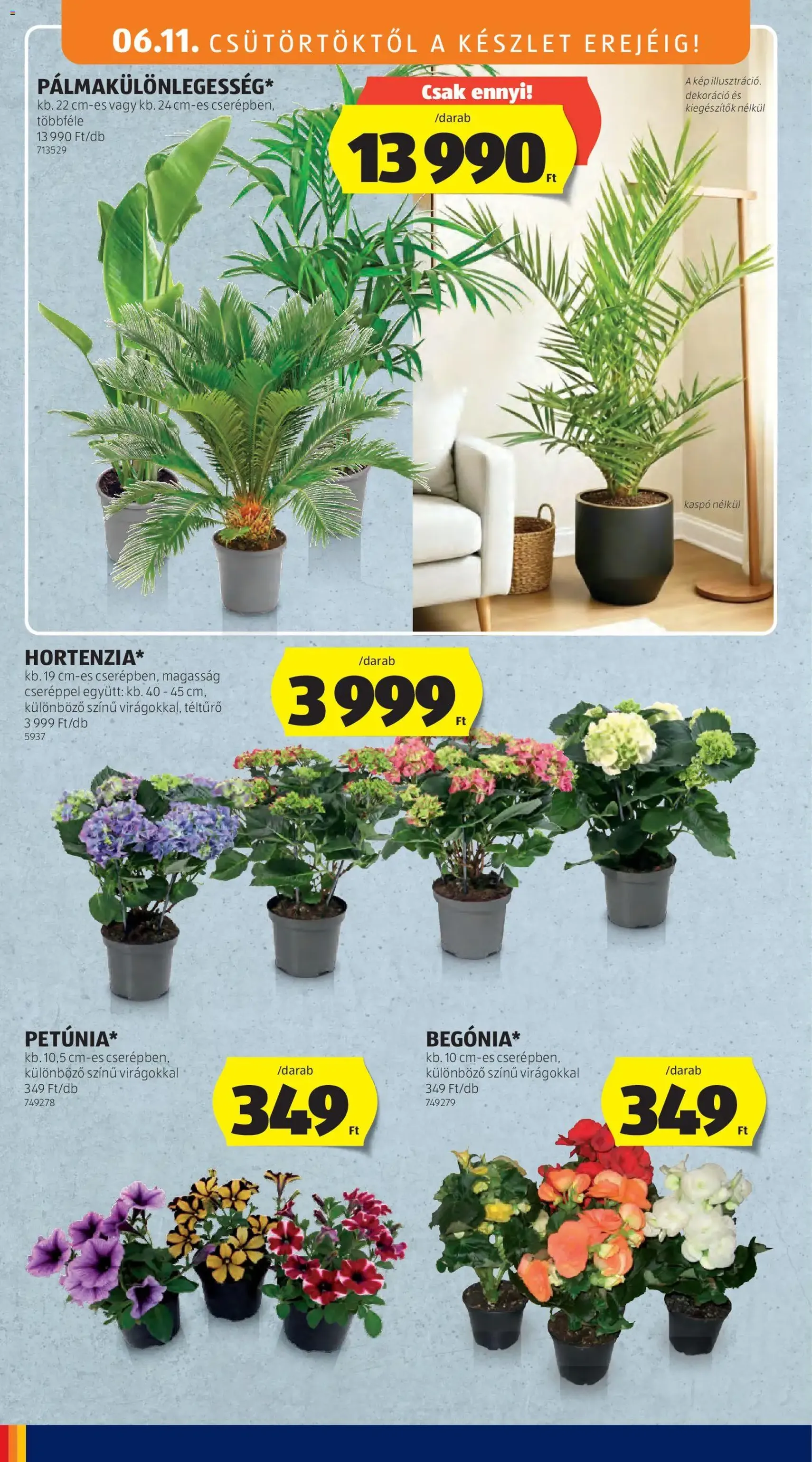 Aldi akciós újság - 2026.06.11. érvényes szórólap 34 oldal 61 oldalból