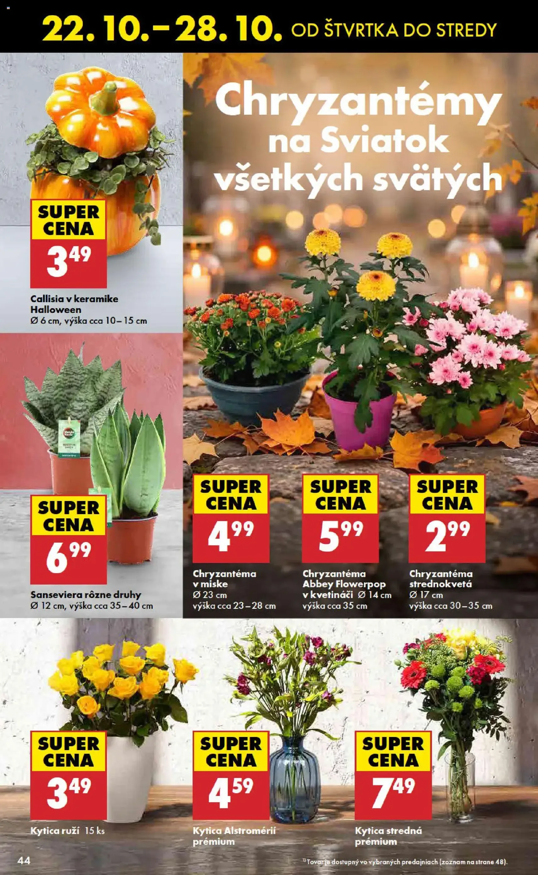 Biedronka leták - platný leták od 22.10.2026 strana 44 z 48
