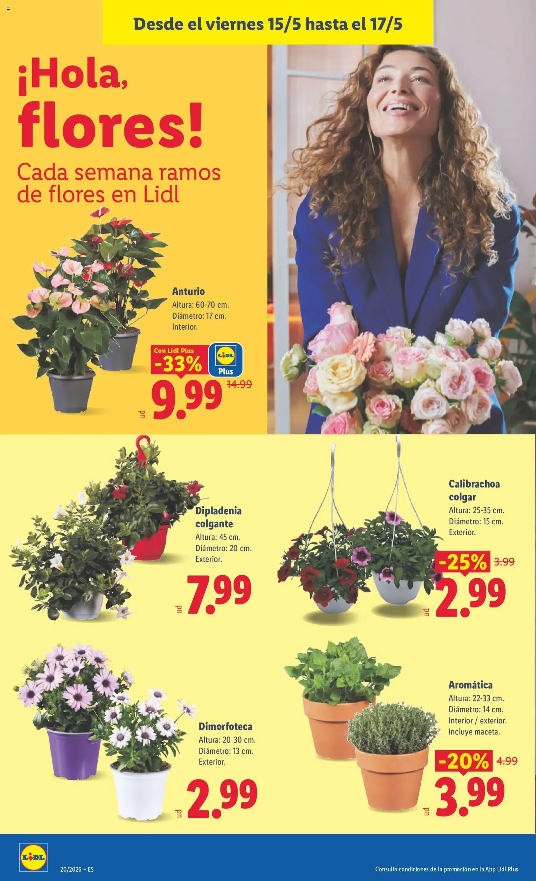 Lidl folleto - folleto válido desde 11/05/2026 página 40 de 43