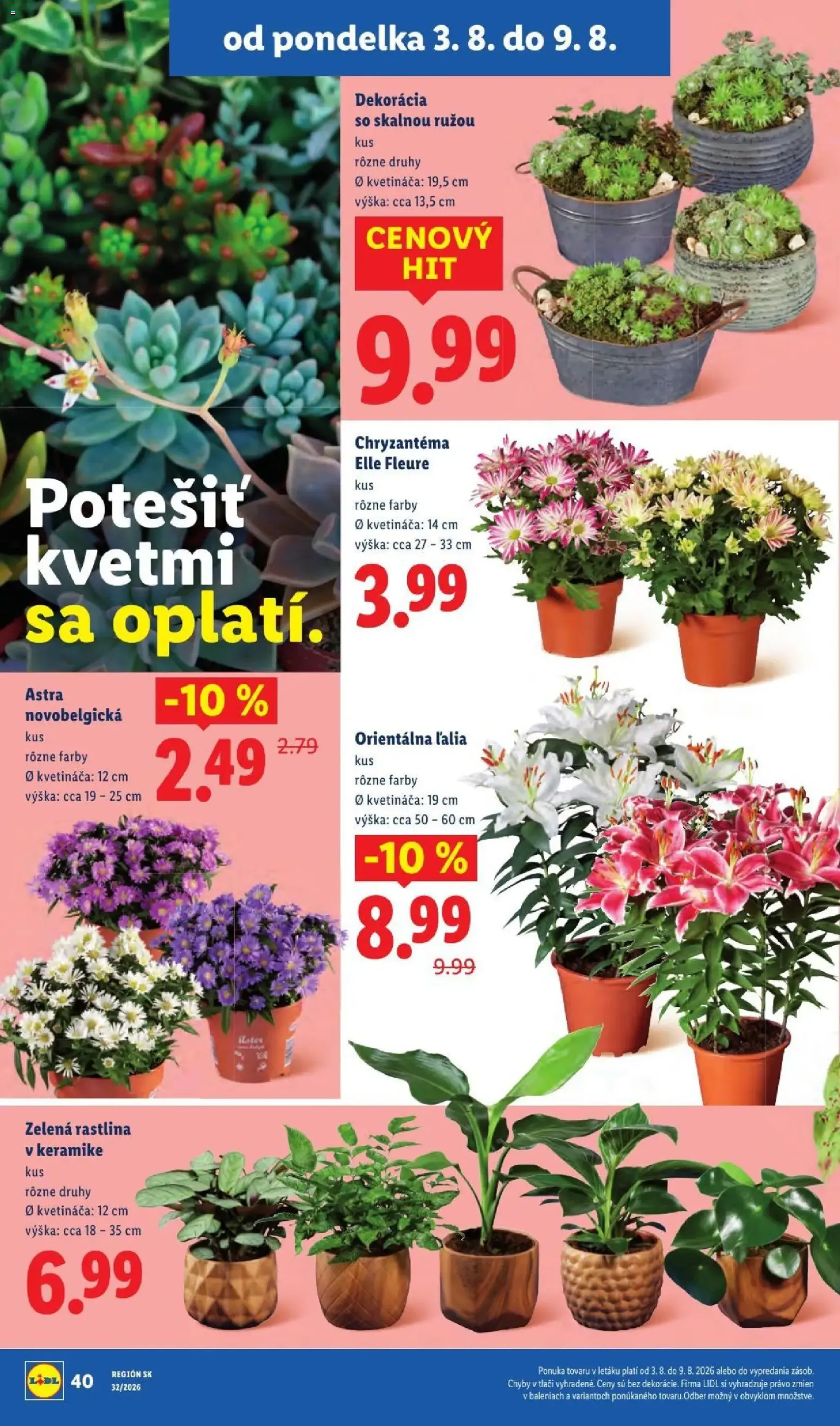 Lidl leták - platný leták od 03.08.2026 strana 62 z 95