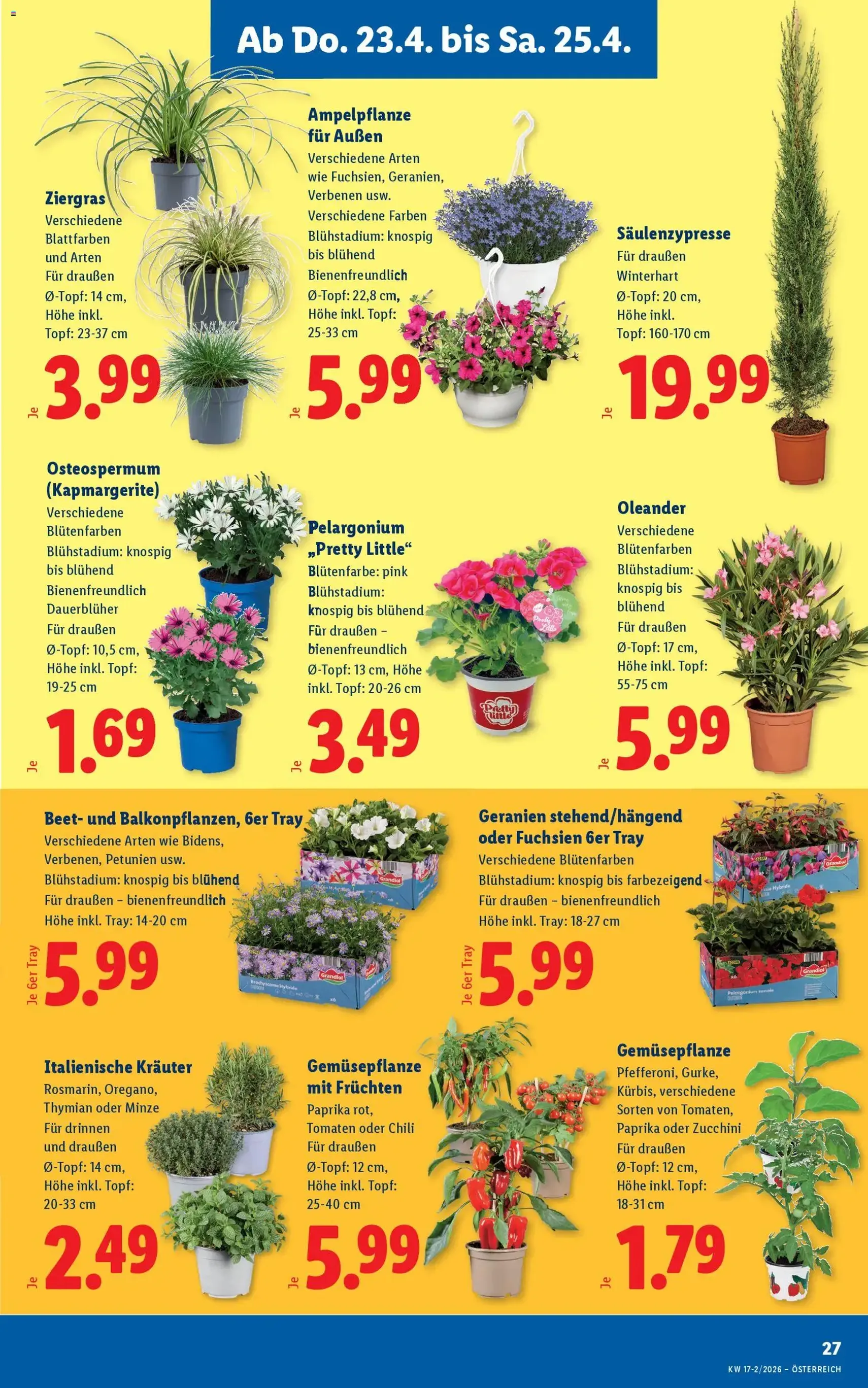 Lidl - Flugblatt - Gültiger Prospekt ab 23.04.2026, Seite 29 von insgesamt 56