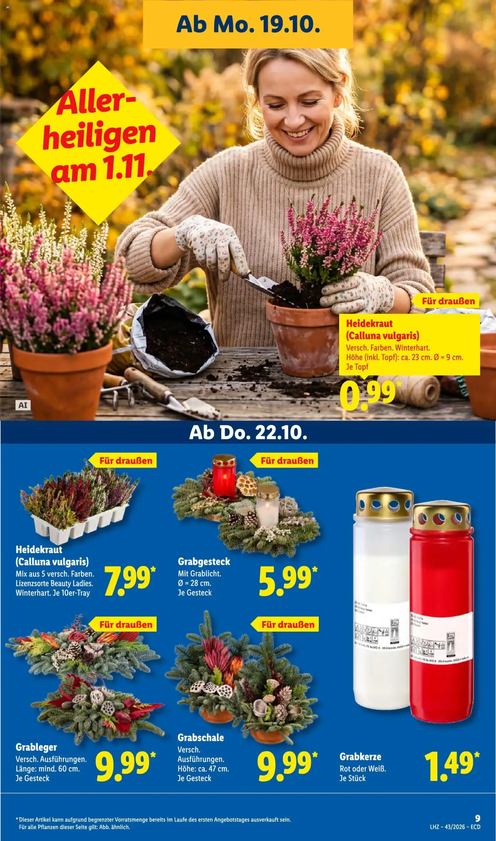 Lidl Prospekt - Gültiger Prospekt ab 19.10.2026, Seite 19 von insgesamt 73