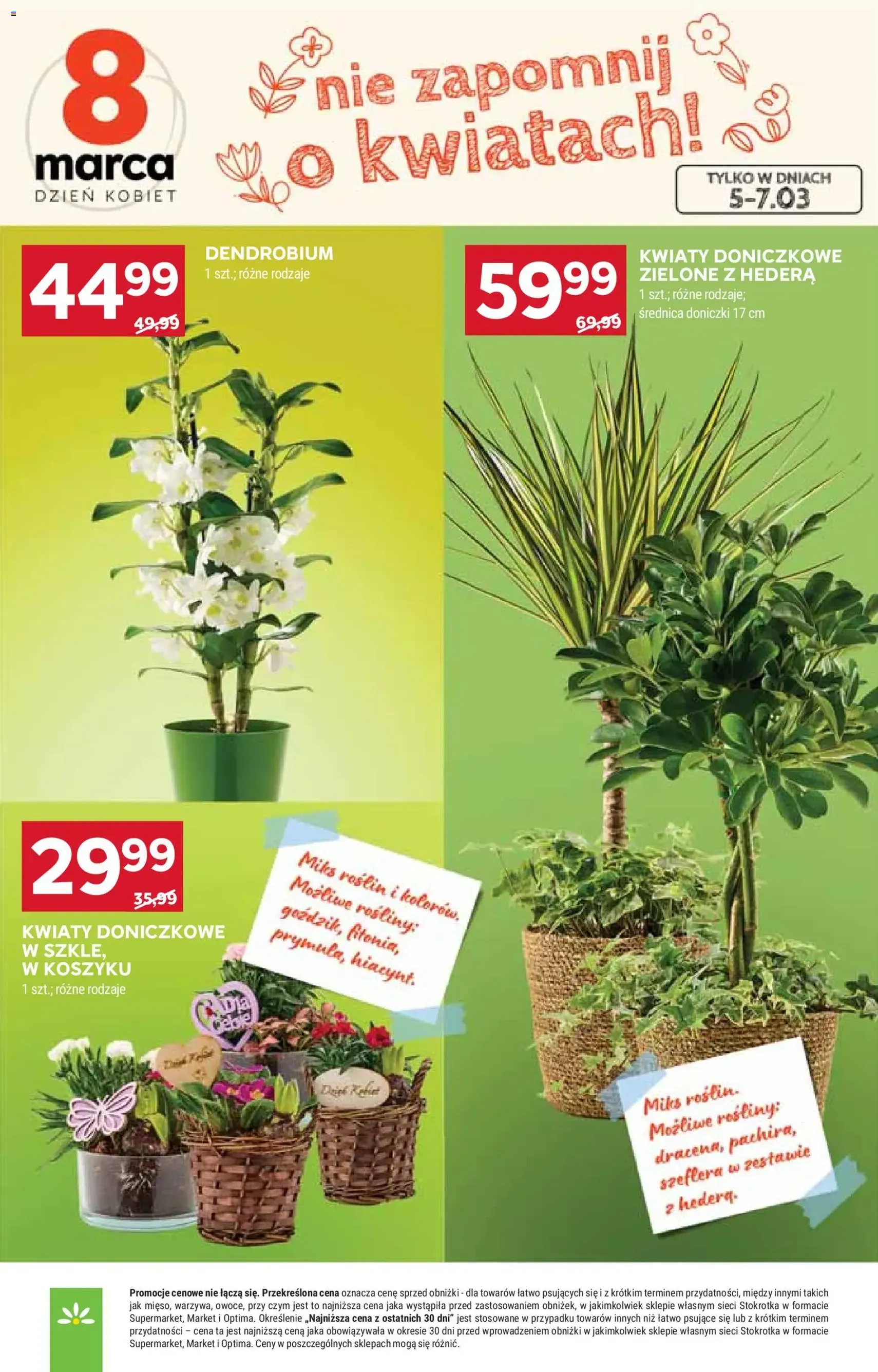 Stokrotka gazetka - ważny gazetka od 05.03.2026 strona 9 z 58