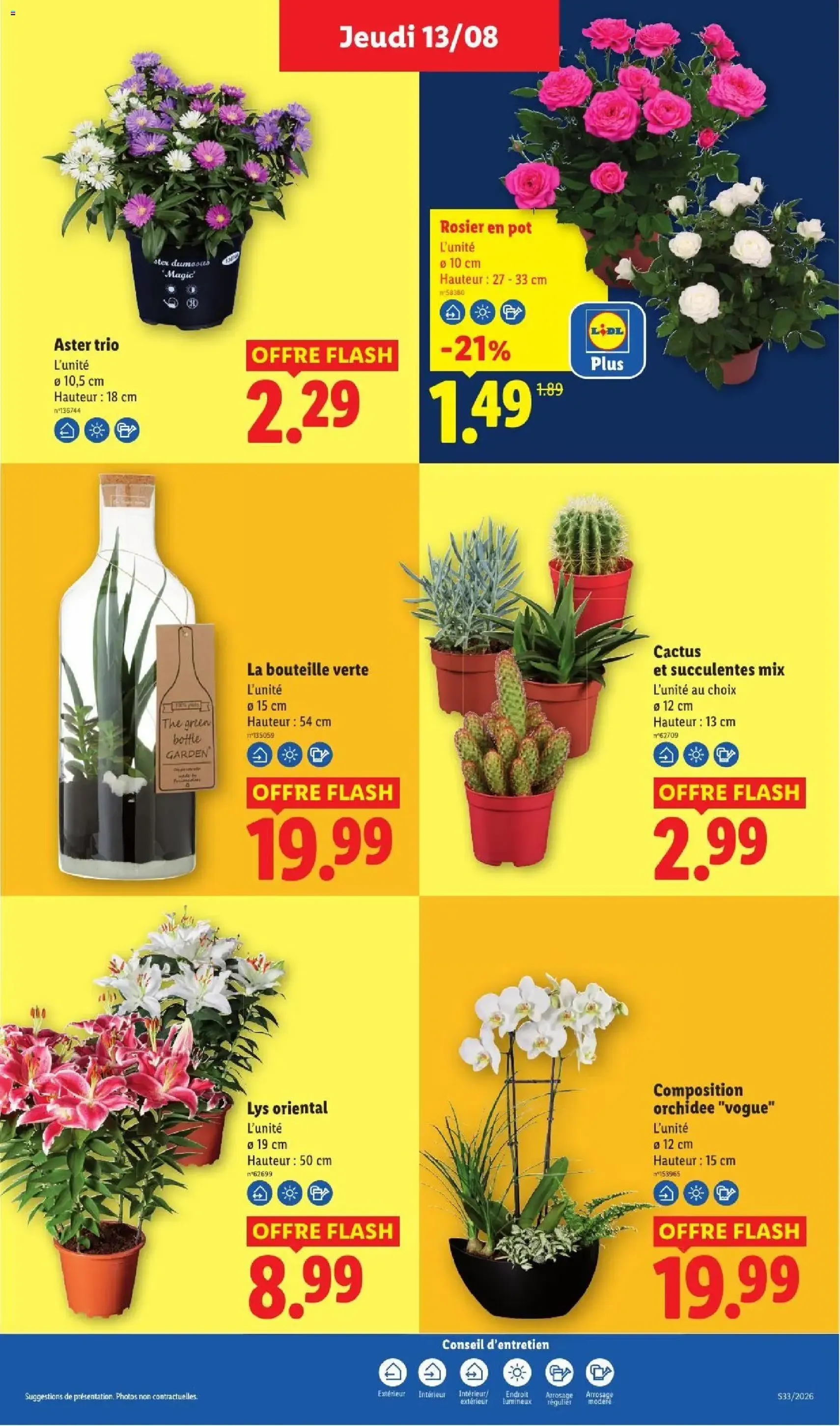 LIDL catalogue - brochure valable à partir du 13/08/2026, page 29 sur 61