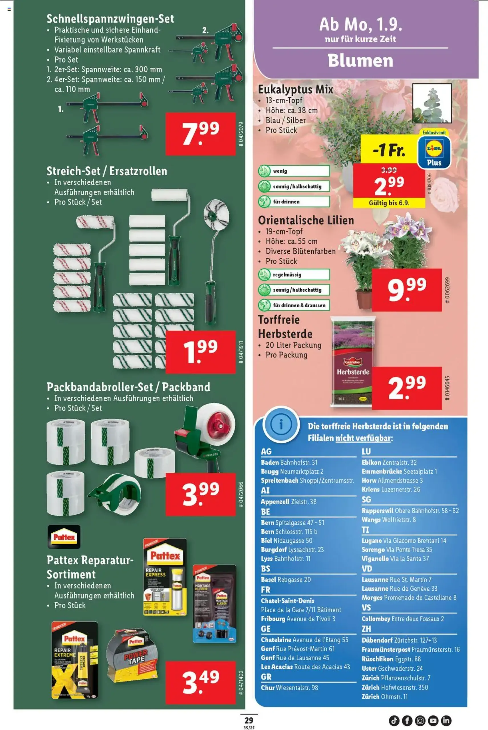 Lidl Aktionen - Gültiger Prospekt ab 28.08.2025, Seite 31 von insgesamt 34 Lidl Aktionen - Gültiger Prospekt ab 28.08.2025, Seite 31 von insgesamt 34