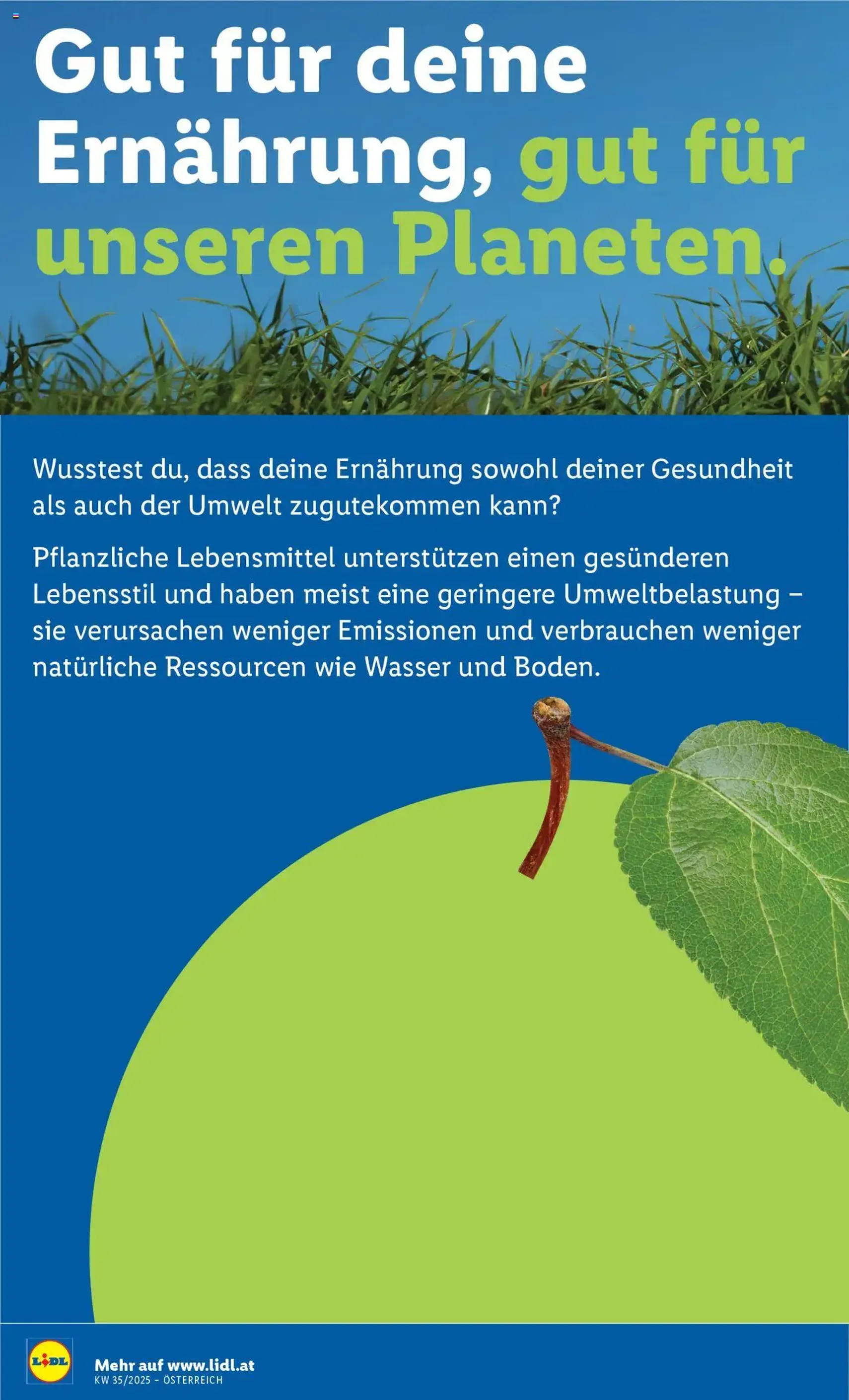 Lidl Flugblatt - Gültiger Prospekt ab 28.08.2025, Seite 46 von insgesamt 48 Lidl Flugblatt - Gültiger Prospekt ab 28.08.2025, Seite 46 von insgesamt 48