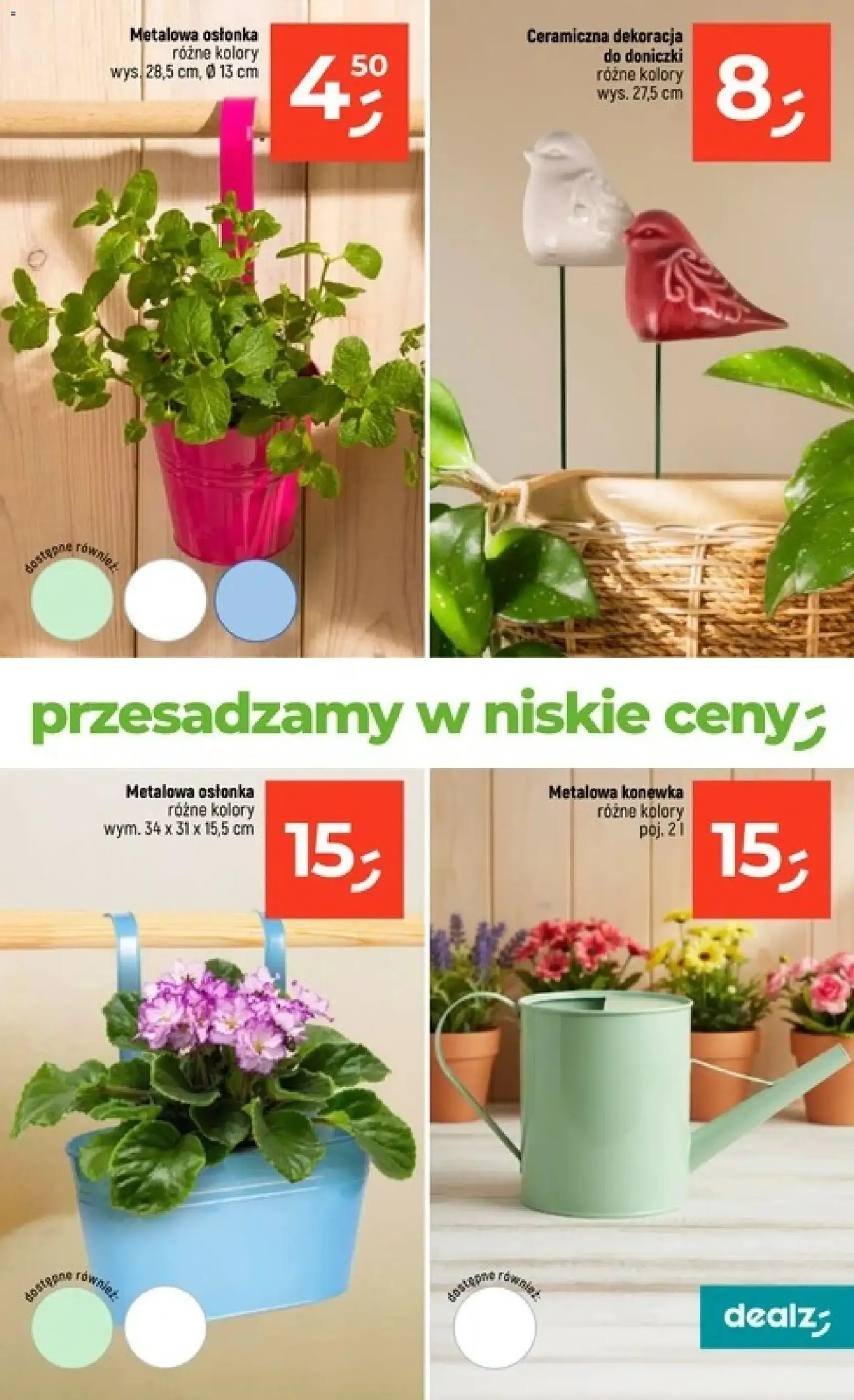 Dealz Gazetka - ważny gazetka od 12.02.2026 strona 29 z 32