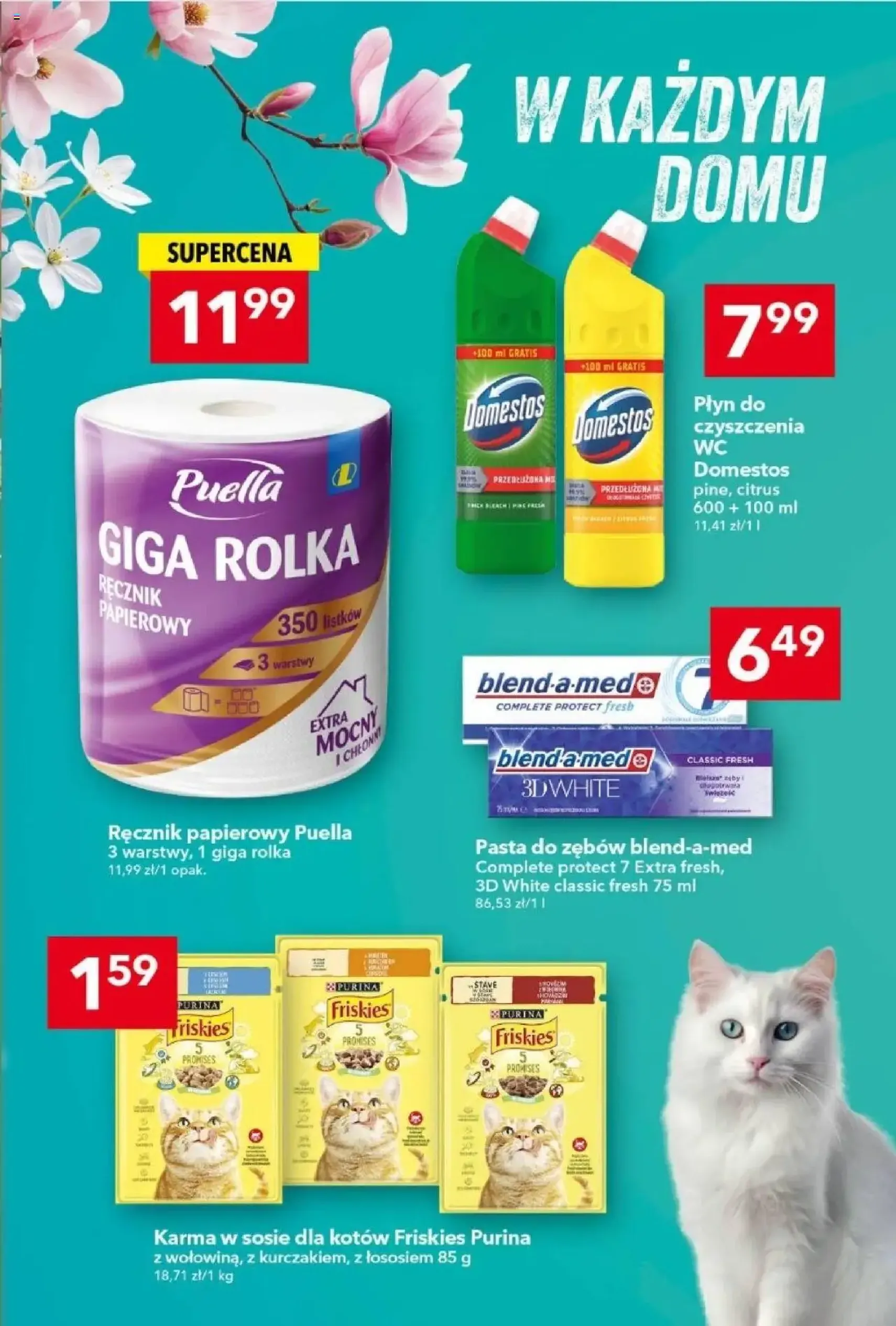 Lewiatan gazetka - ważny gazetka od 23.10.2025 strona 13 z 16 Lewiatan gazetka - ważny gazetka od 23.10.2025 strona 13 z 16