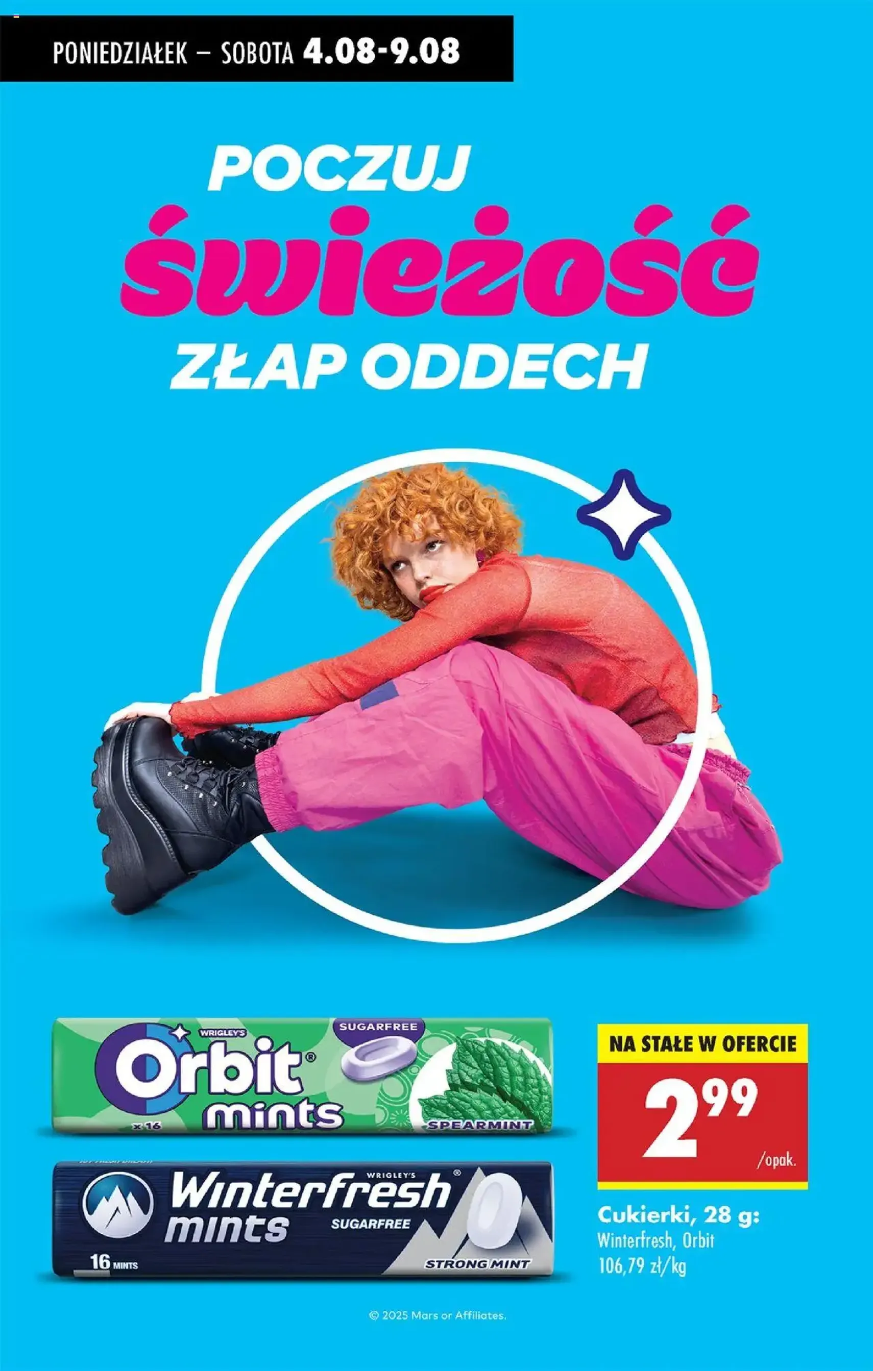 Biedronka gazetka - ważny gazetka od 04.08.2025 strona 79 z 80