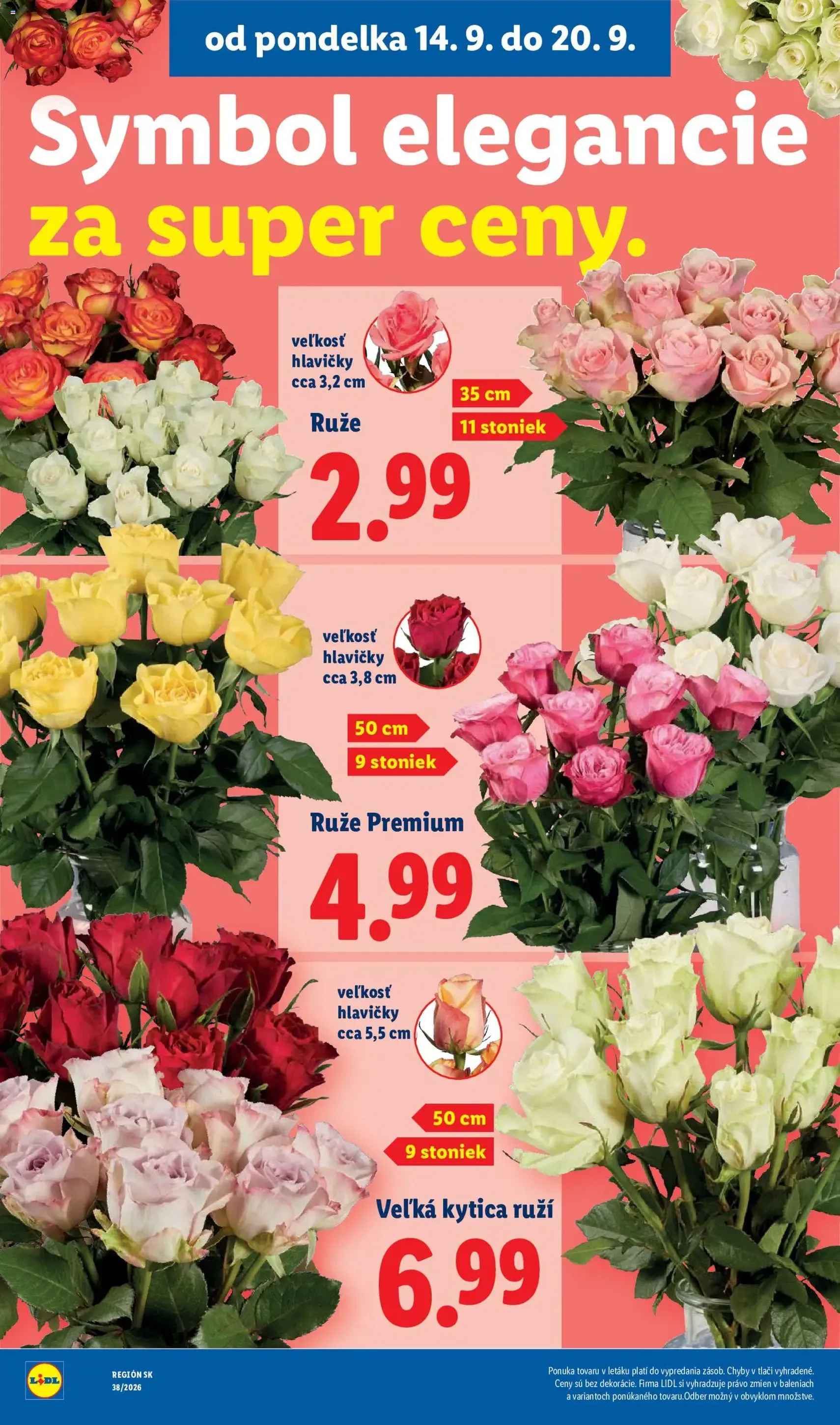 Lidl leták - platný leták od 14.09.2026 strana 51 z 105
