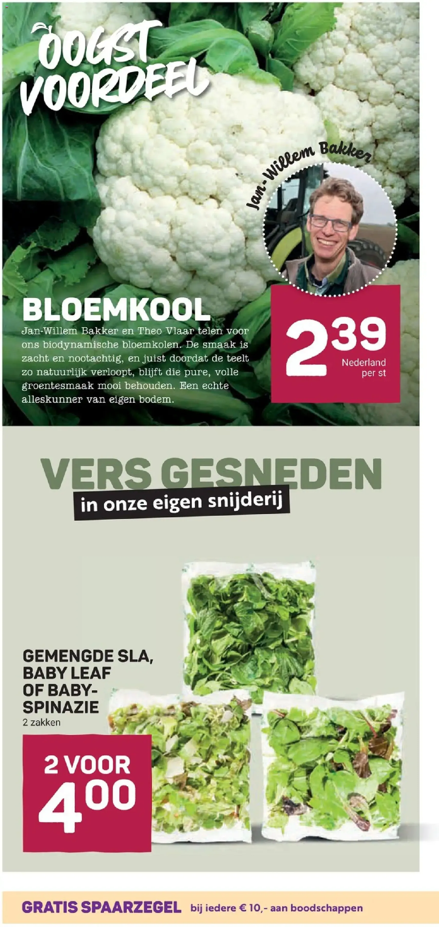 Ekoplaza folder - geldige folder vanaf 29-07-2026 pagina 10 van 22