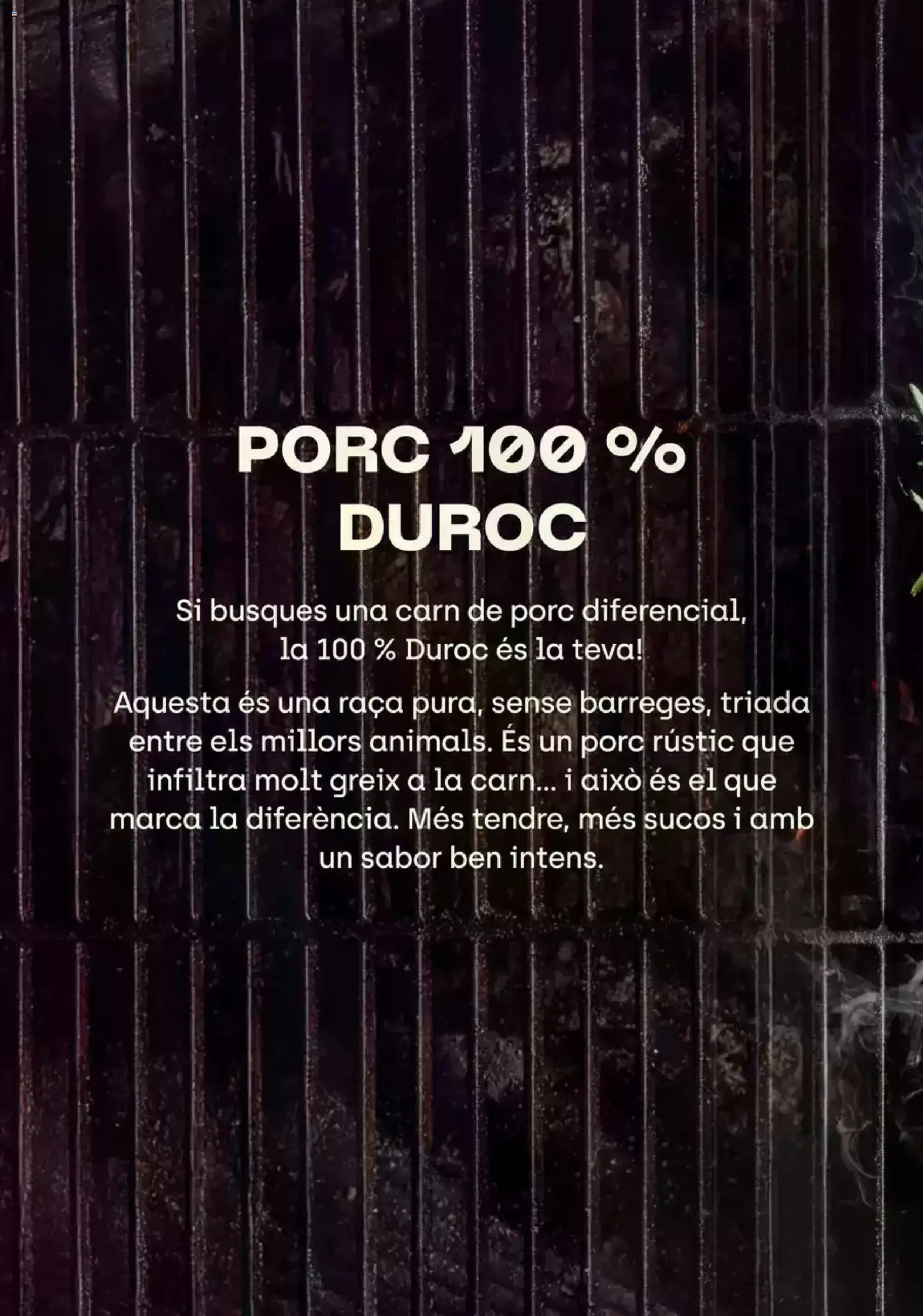 Bonpreu Fa Bo I Se'ns Nota - folleto válido desde 04/08/2026 página 15 de 34