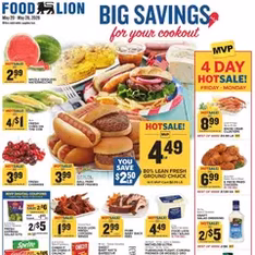 Food Lion Weekly Ad - Flyer preview valid from 05/20/2026