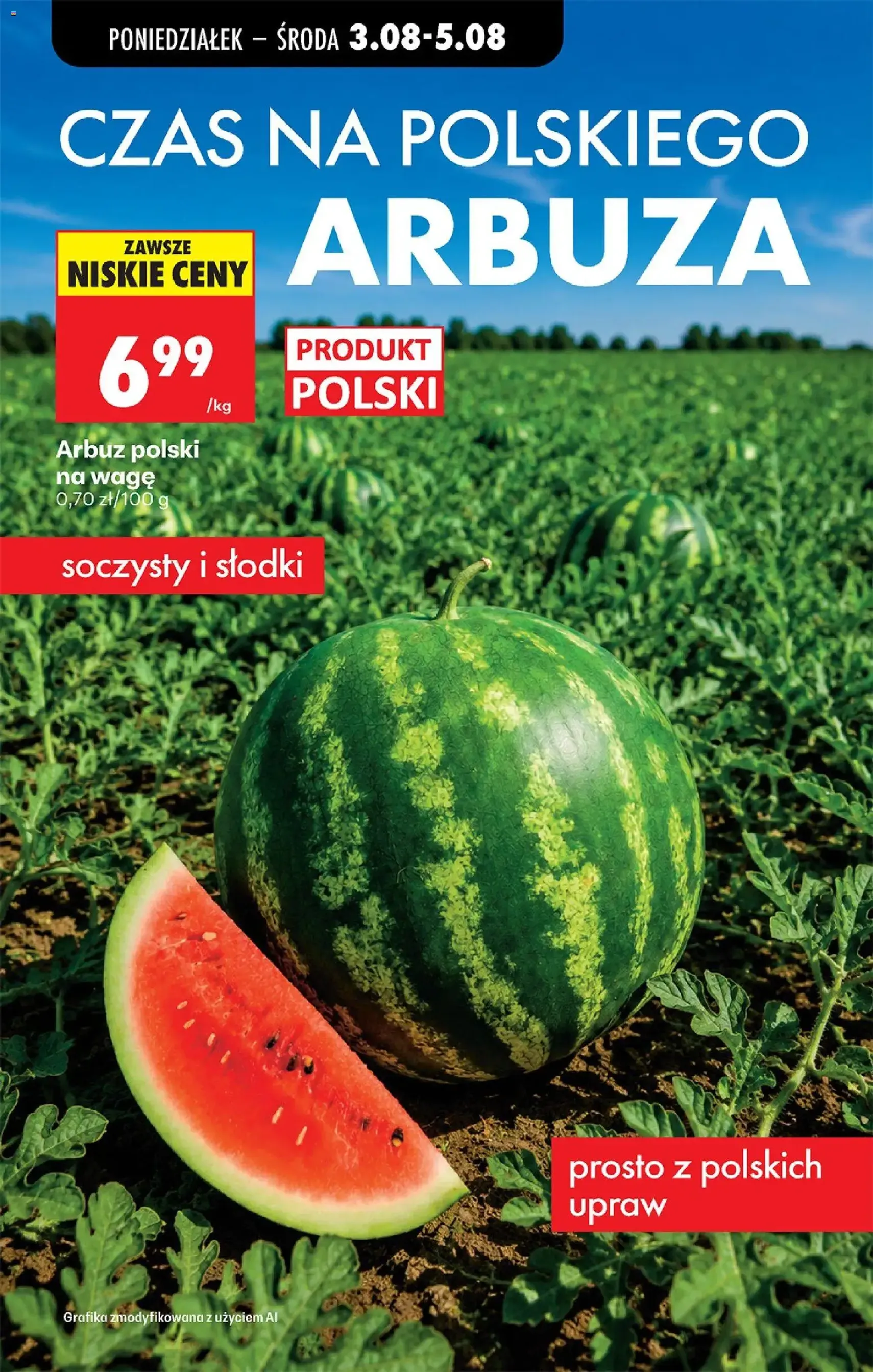 Biedronka gazetka od poniedziałku - ważny gazetka od 03.08.2026 strona 25 z 81