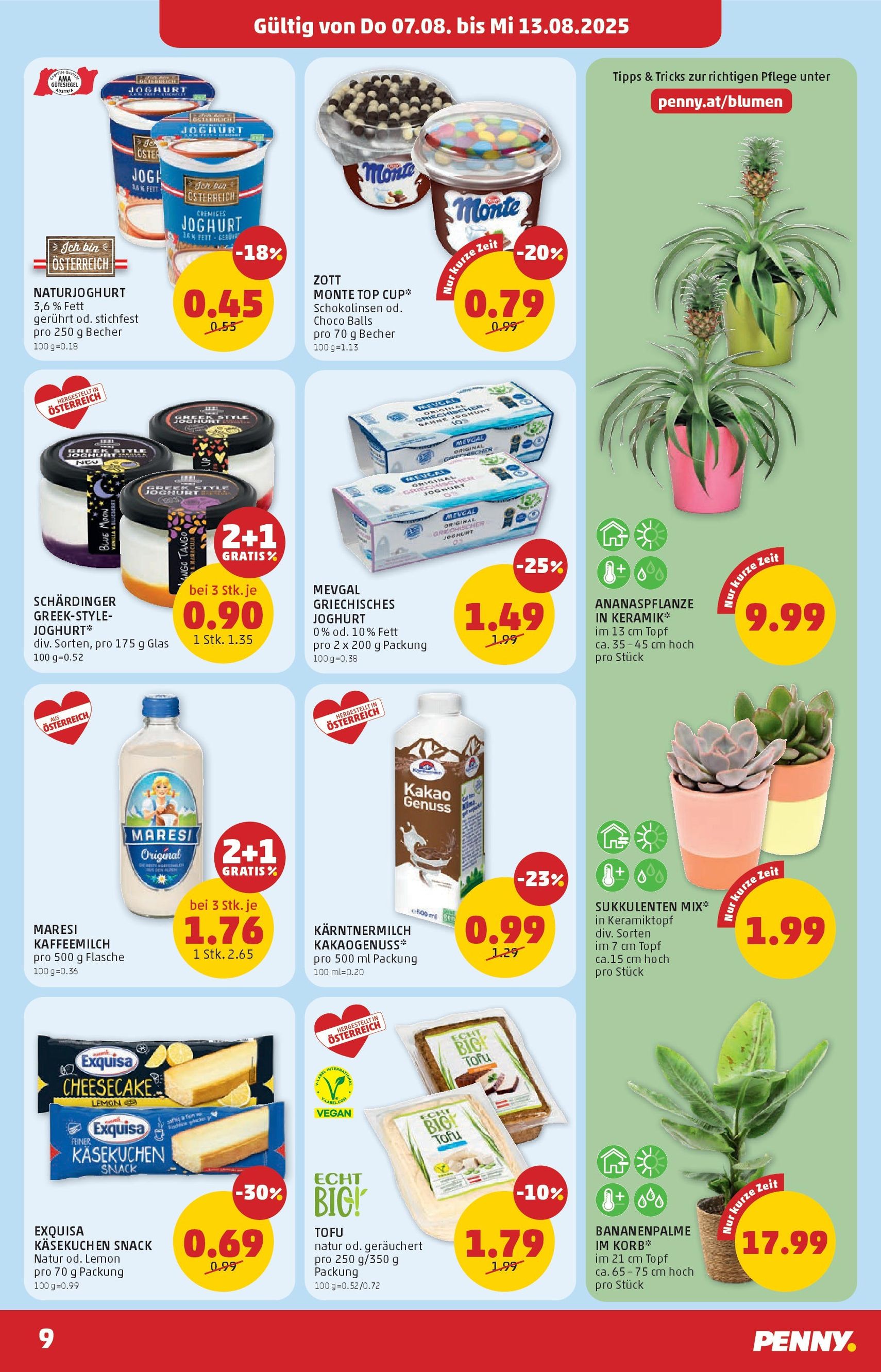 Penny Markt Flugblatt - Gültiger Prospekt ab 07.08.2025, Seite 9 von insgesamt 24
