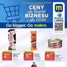 Makro gazetka - podgląd gazetki ważnej od 09.06.2026