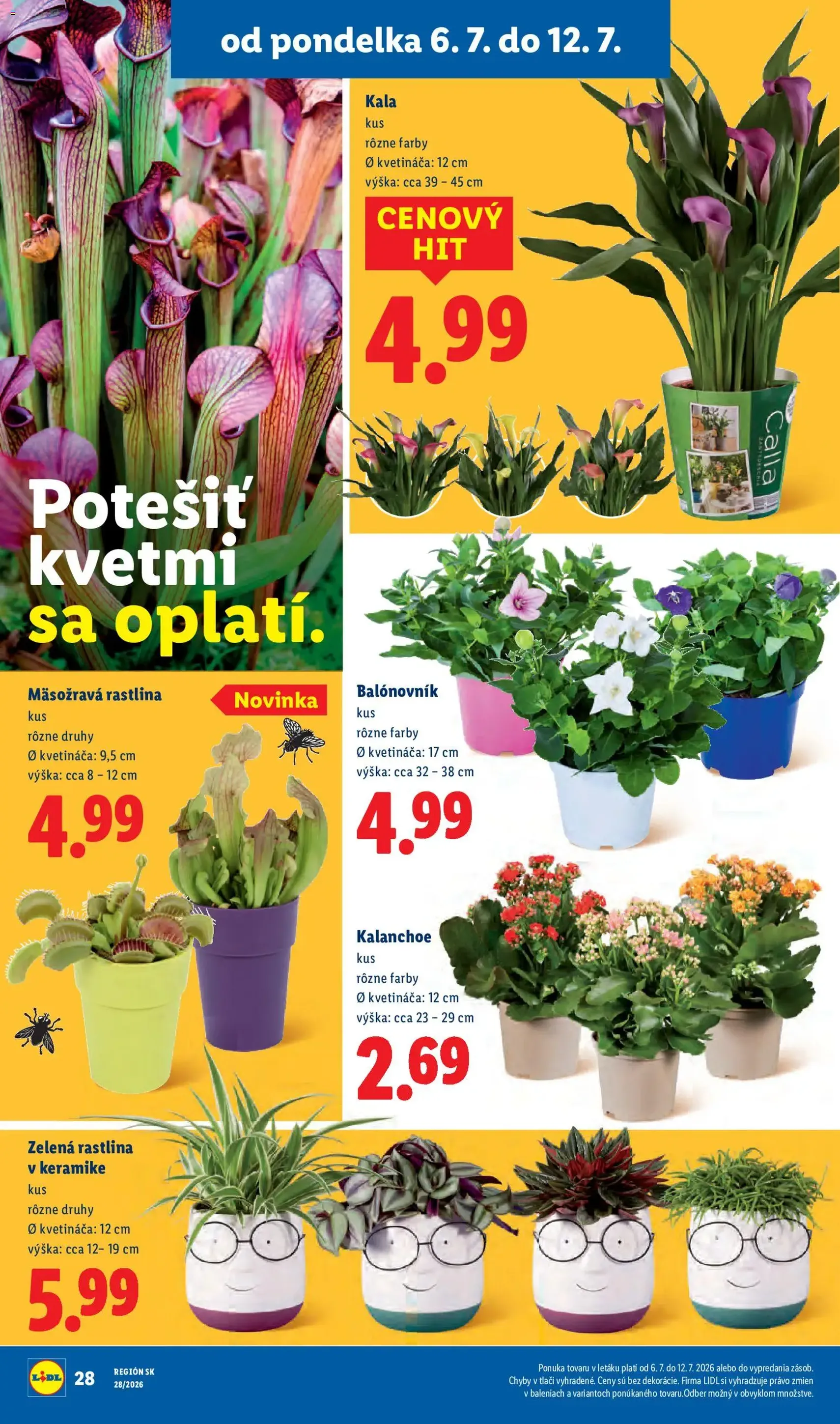 Lidl leták - platný leták od 06.07.2026 strana 49 z 109